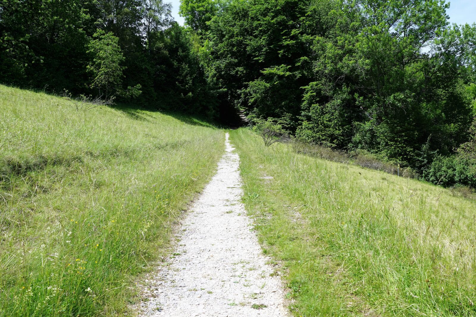 Sony ILCA-77M2 + Sony DT 16-50mm F2.8 SSM sample photo. Away, tuttlingen, germany photography