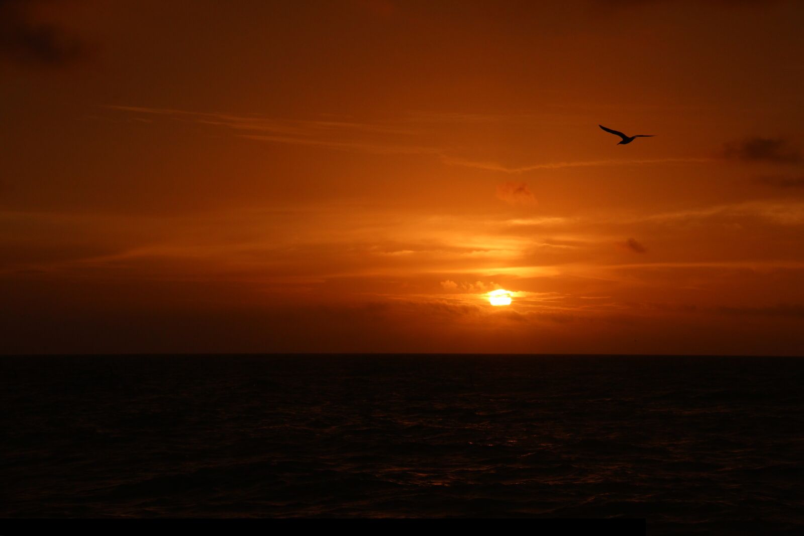 Canon EF-S 18-200mm F3.5-5.6 IS sample photo. Sunset, twilight, sun photography