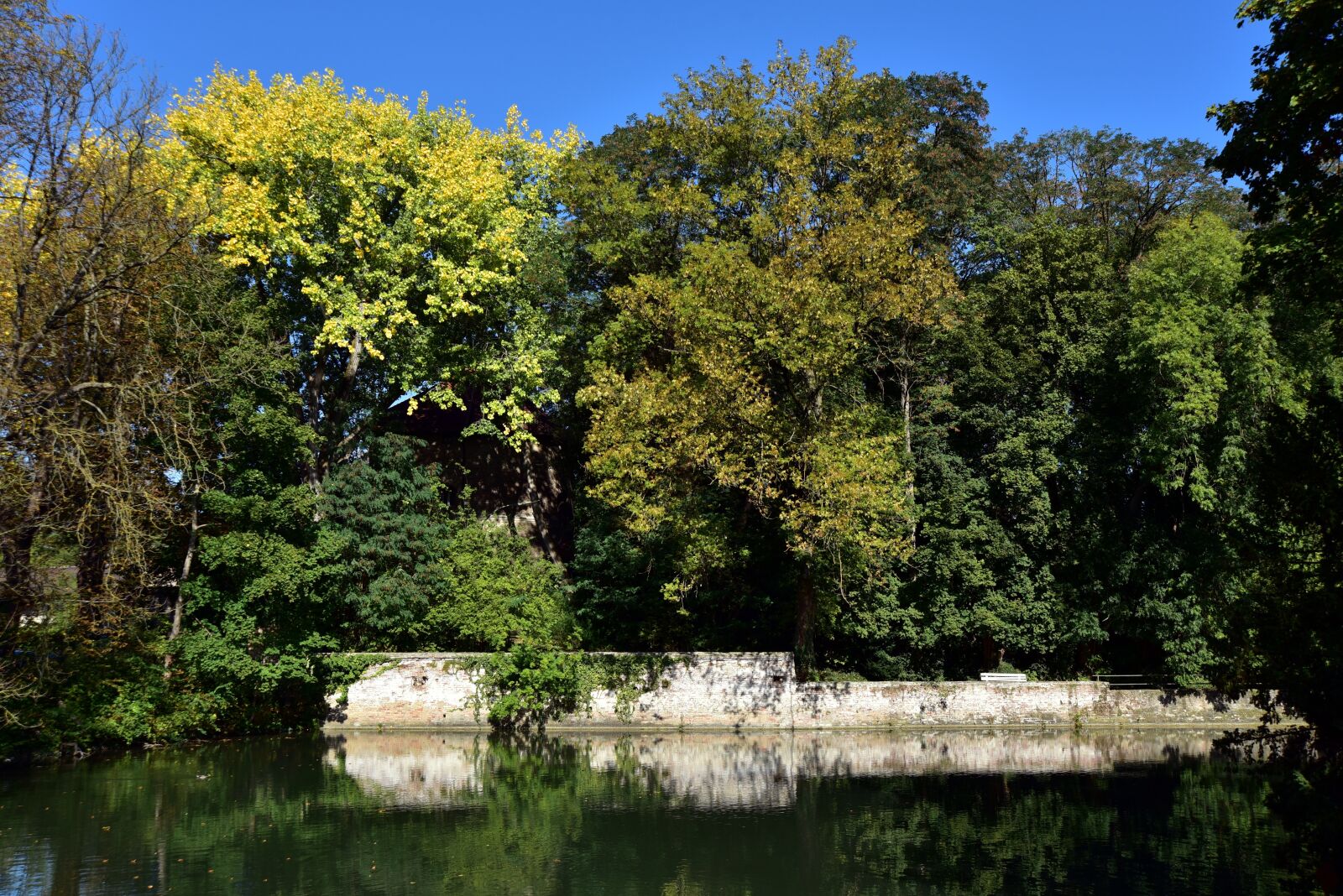 Nikon D750 sample photo. Nature, autumn, trees photography