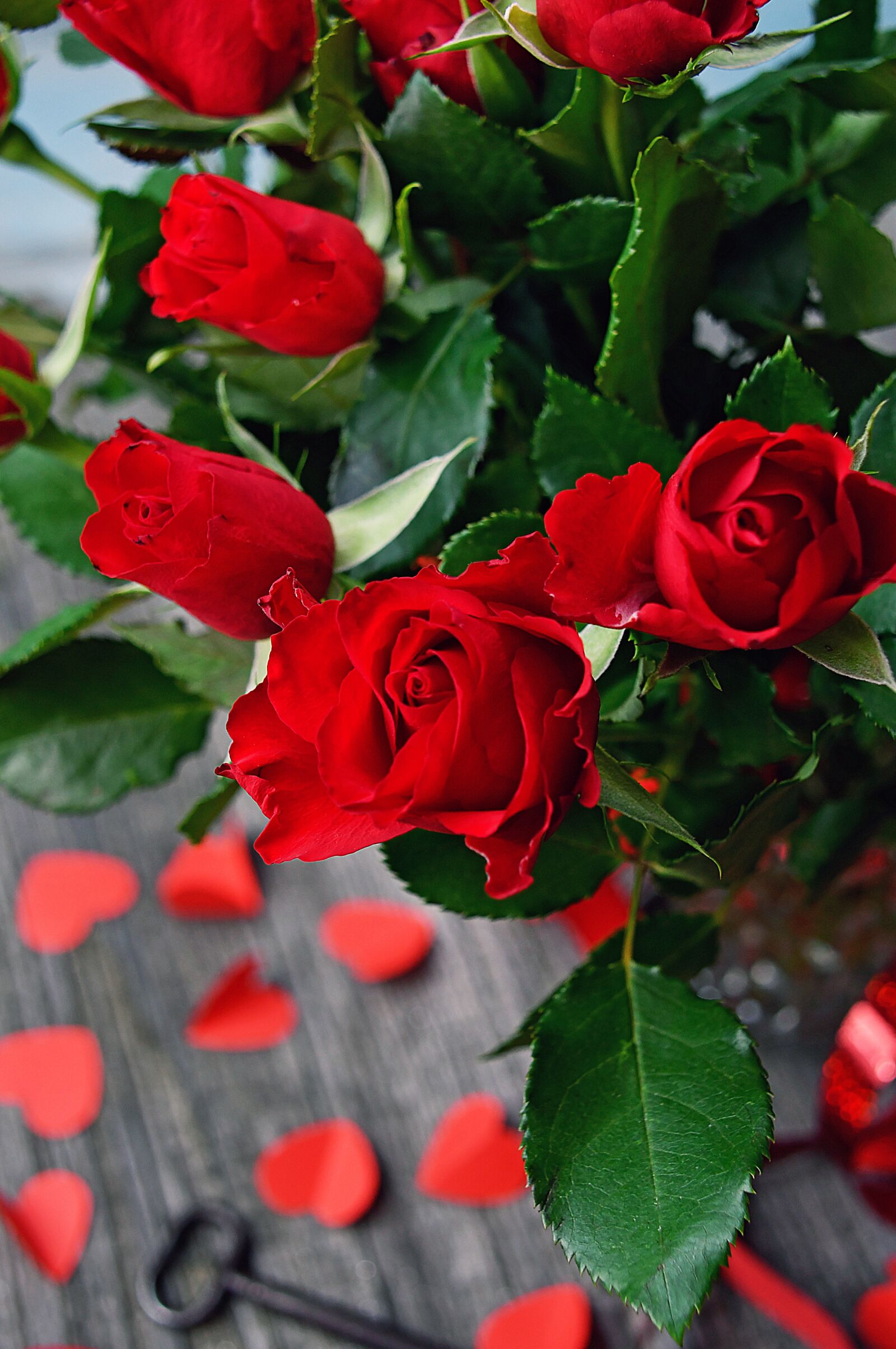 Nikon D3200 sample photo. Rose, valentine's, valentine's day photography