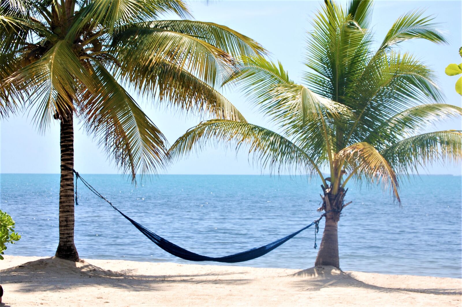 Nikon D40 sample photo. Placencia, belize, beach photography