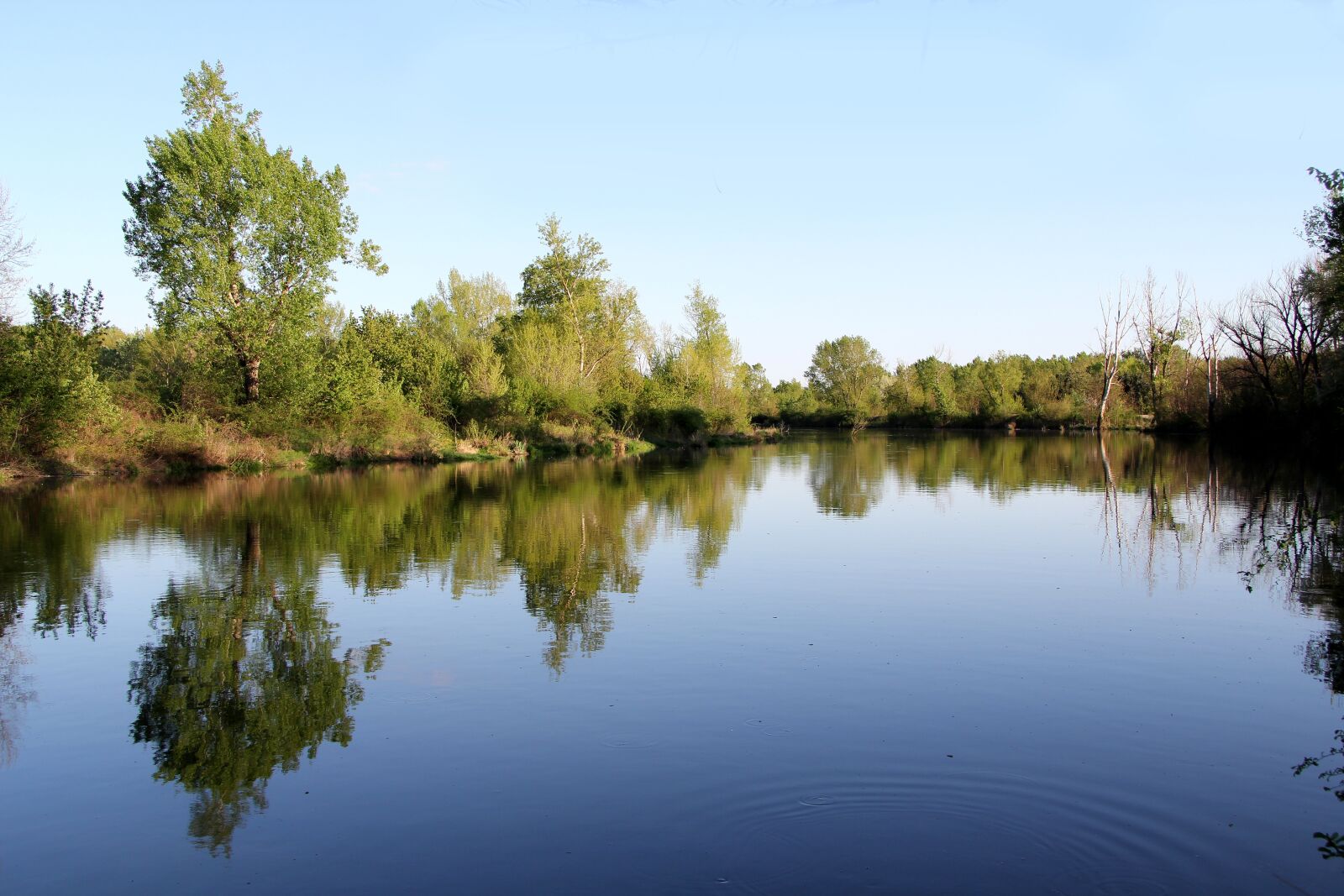 Canon EF-S 17-85mm F4-5.6 IS USM sample photo. Lake, water, hron photography