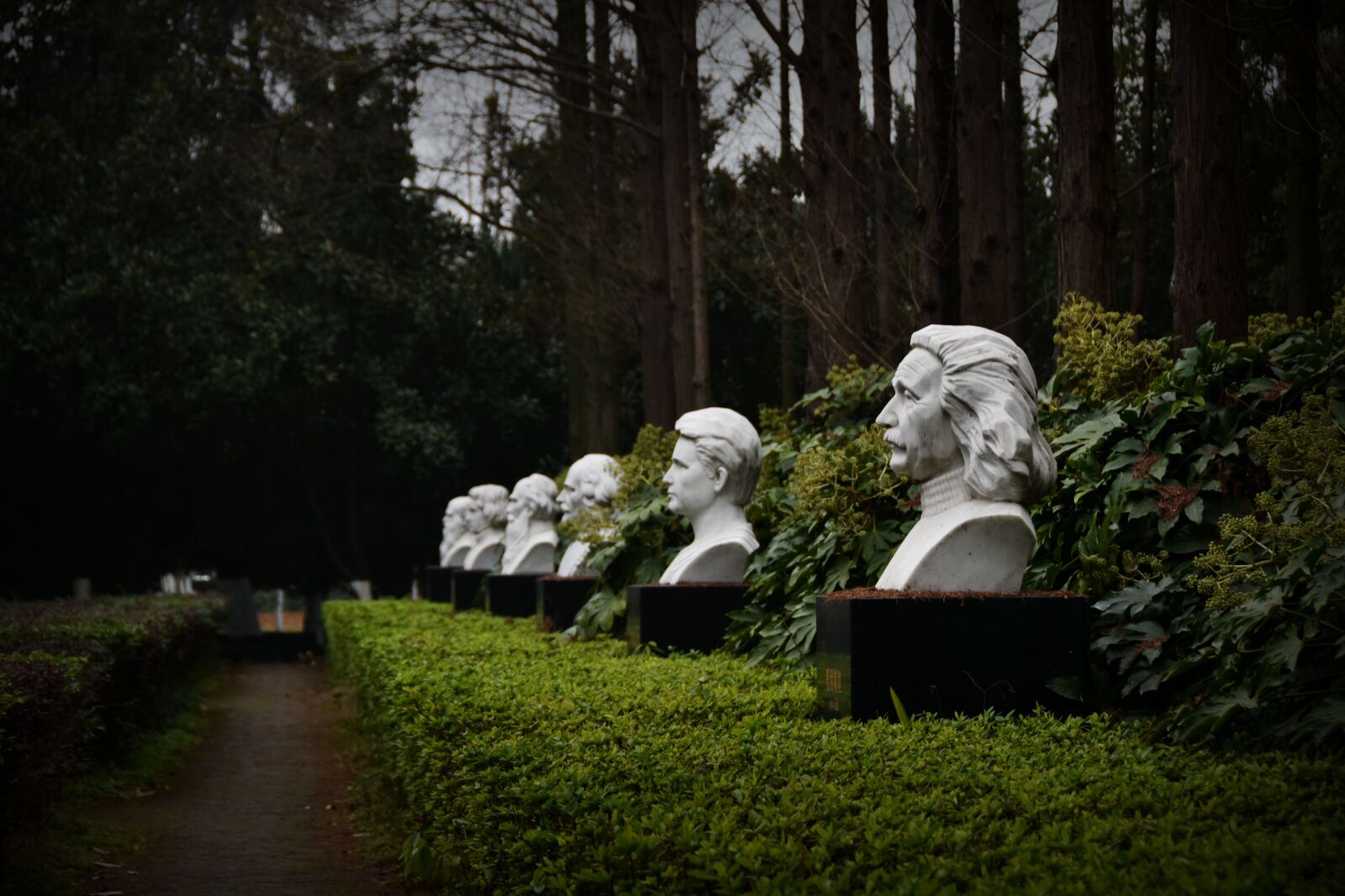 Nikon D5500 sample photo. Celebrity forest, einstein, marie photography