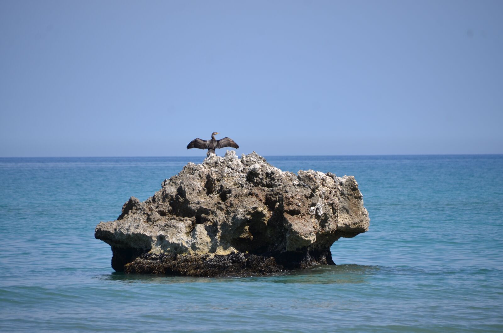 Nikon D7000 sample photo. Sea, island, nest photography