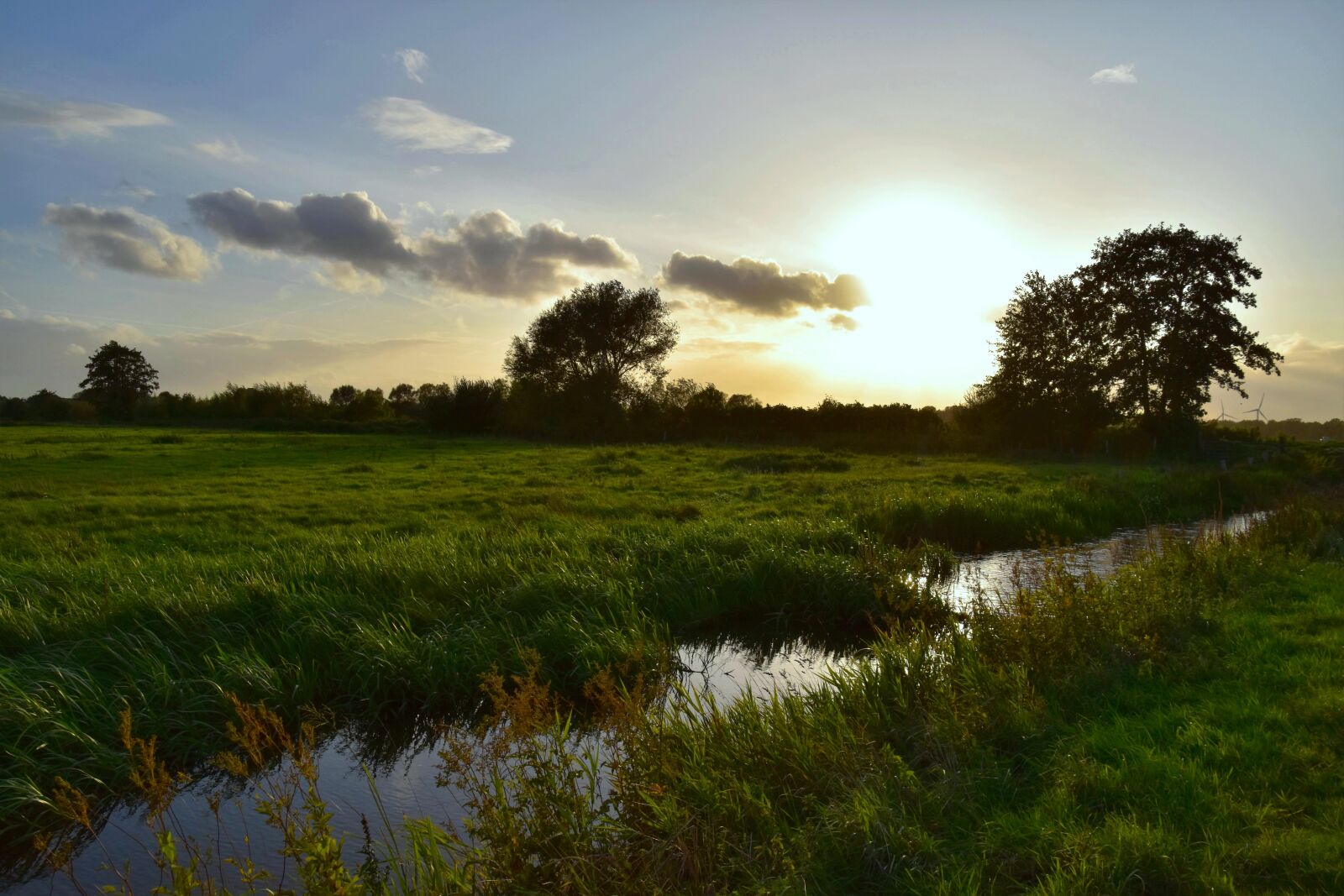 Nikon D5600 sample photo. Landscape, rural, nature photography