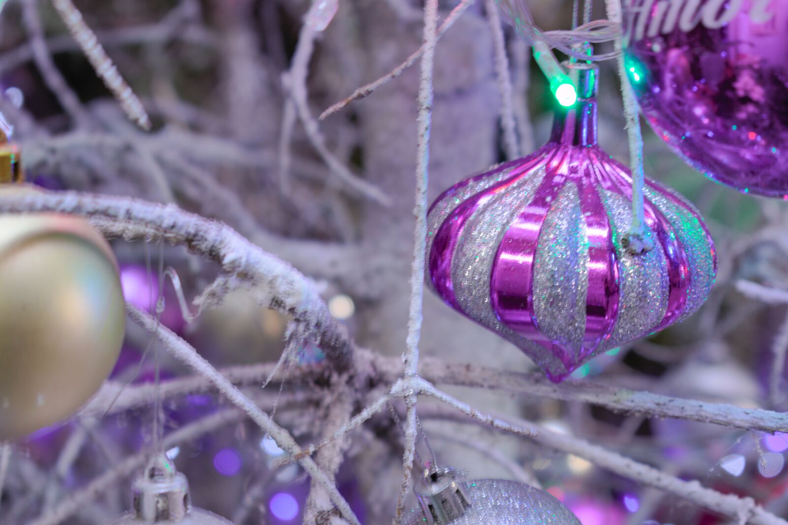 Nikon D5600 sample photo. Sphere, christmas, christmas tree photography
