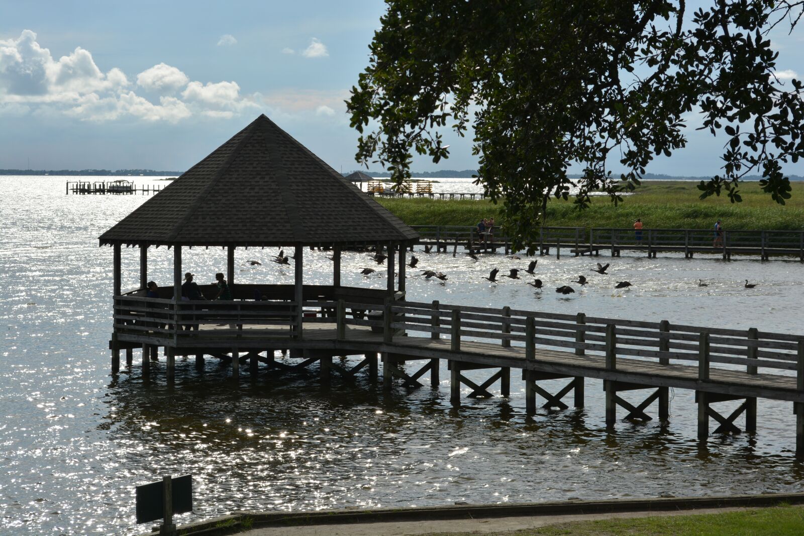 Nikon D5200 sample photo. Water, wood, lake photography