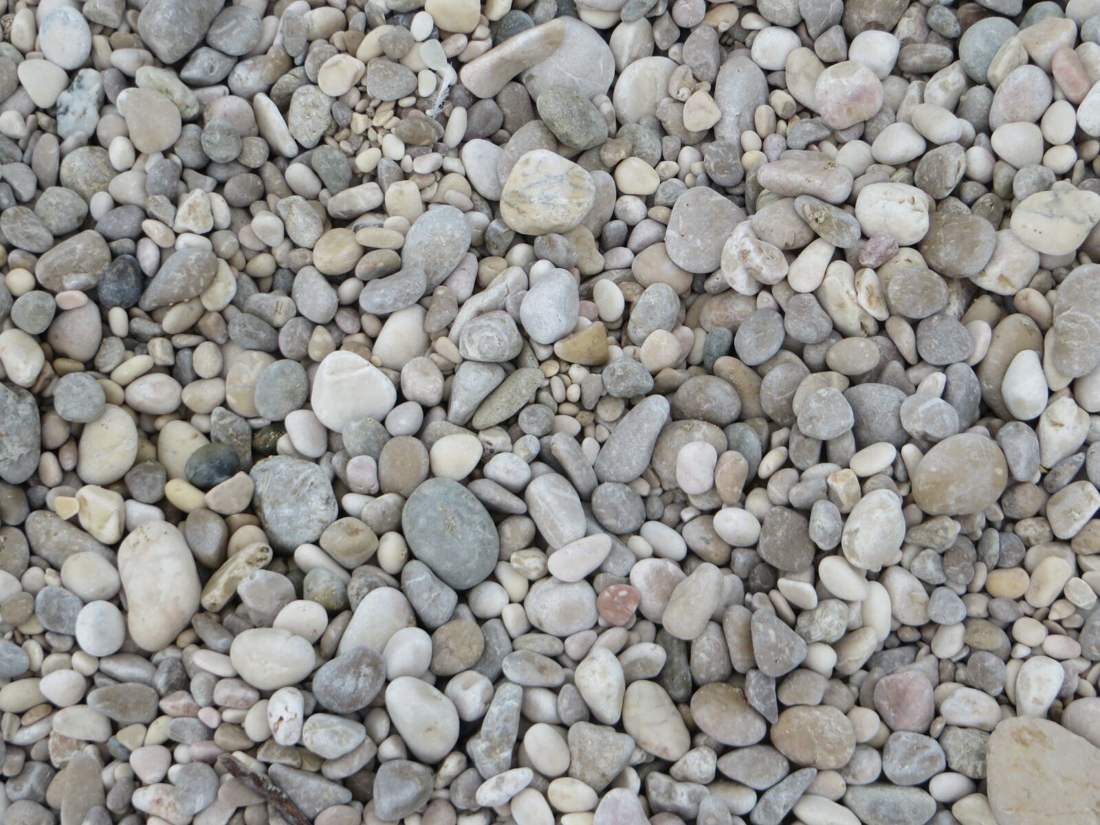 Canon PowerShot SX270 HS sample photo. The stones, beach, sea photography