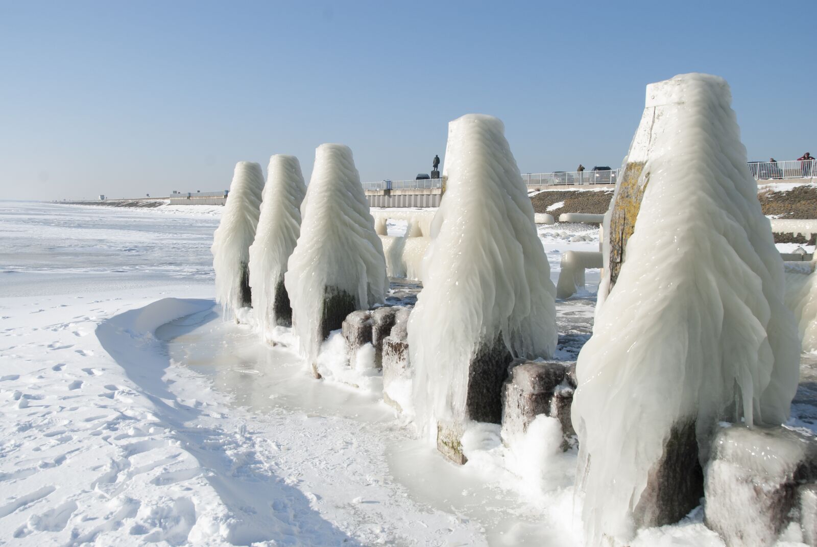 Nikon D80 sample photo. Winter, ice, frozen photography