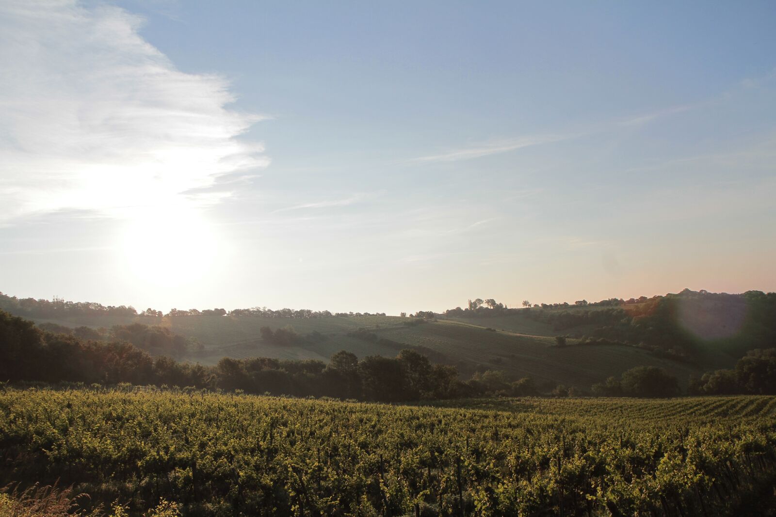 Canon EOS 7D sample photo. Morning, sky, nature photography