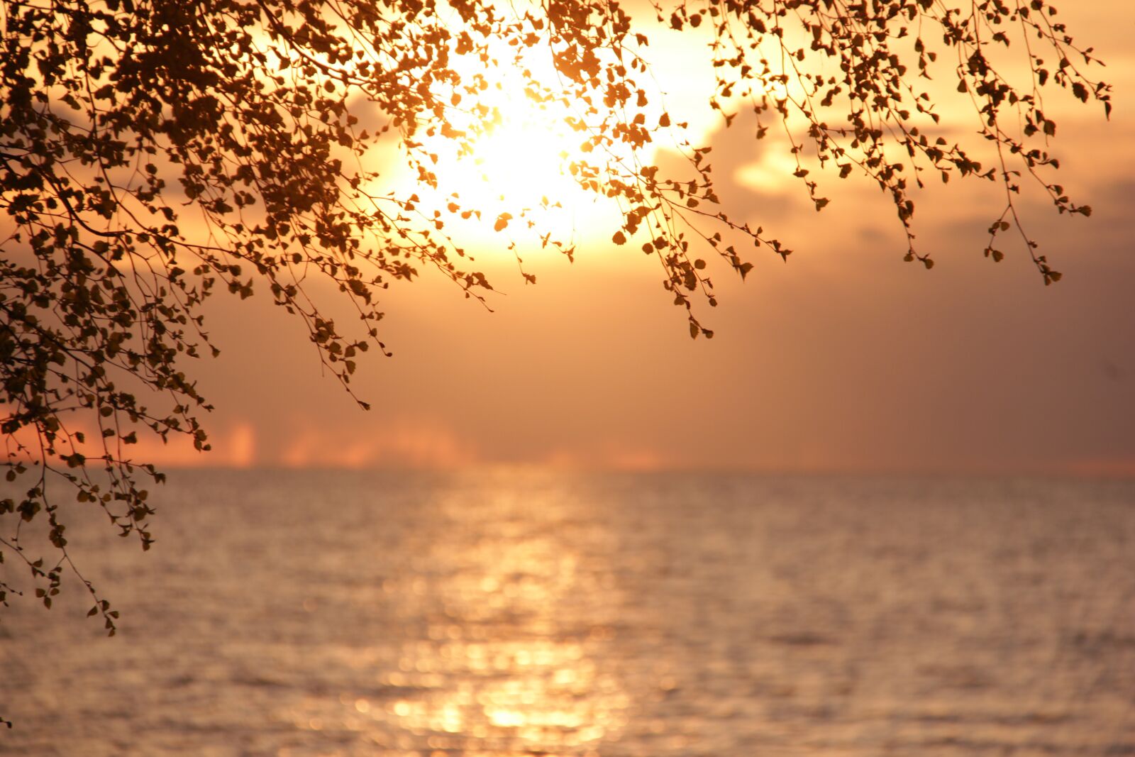 Canon EOS 550D (EOS Rebel T2i / EOS Kiss X4) sample photo. Sun, gulf of finland photography