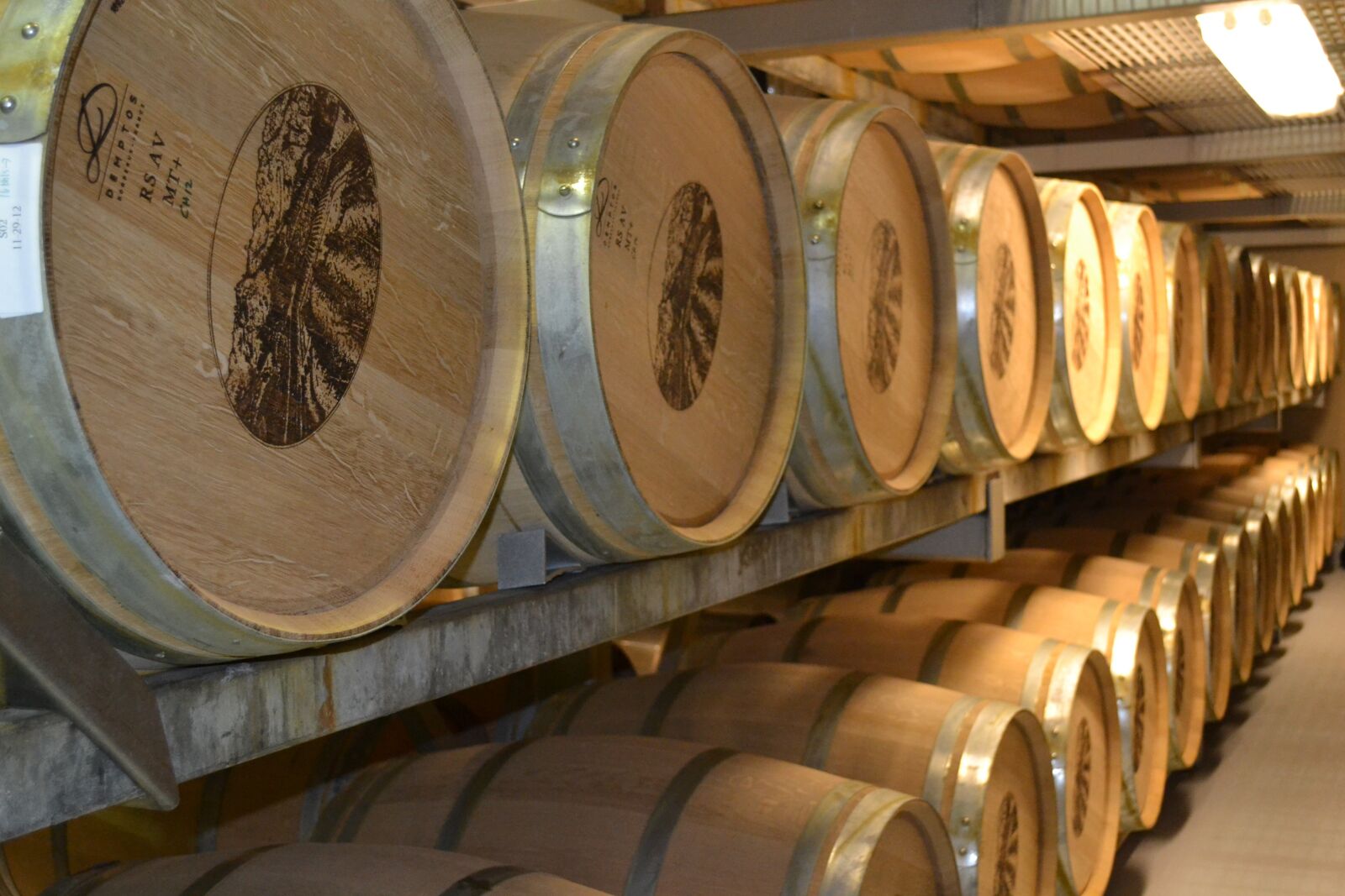 Nikon D3100 sample photo. Wines, barrels, tasting photography