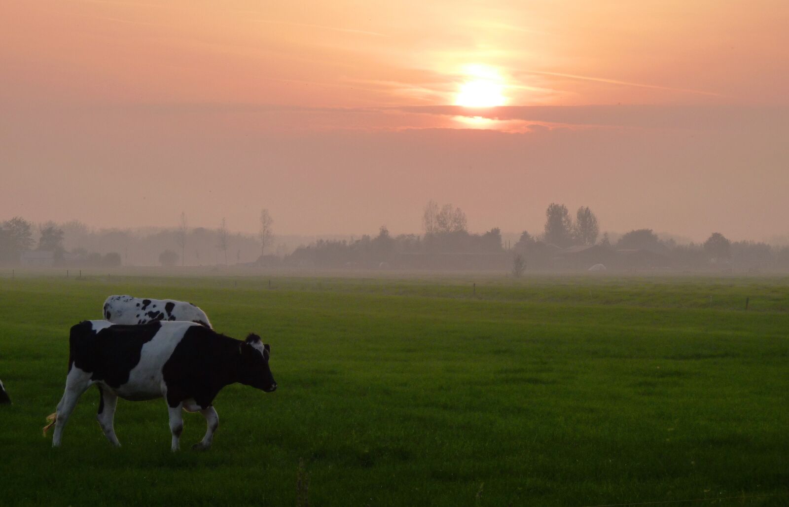 Panasonic Lumix DMC-FZ35 (Lumix DMC-FZ38) sample photo. Meadow, sunset, landscape photography