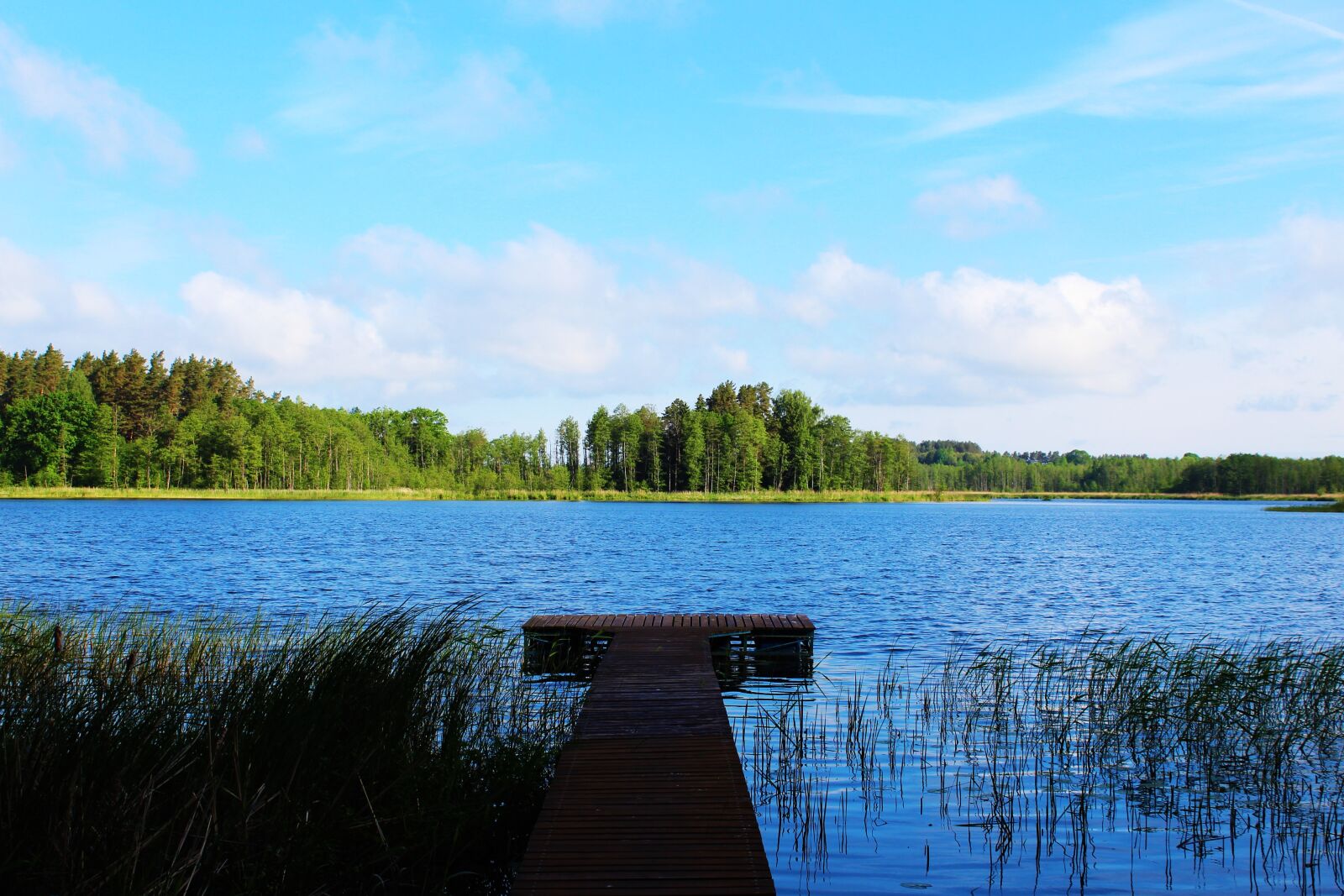 Canon EOS 1300D (EOS Rebel T6 / EOS Kiss X80) sample photo. Lake, secret, mysterious photography