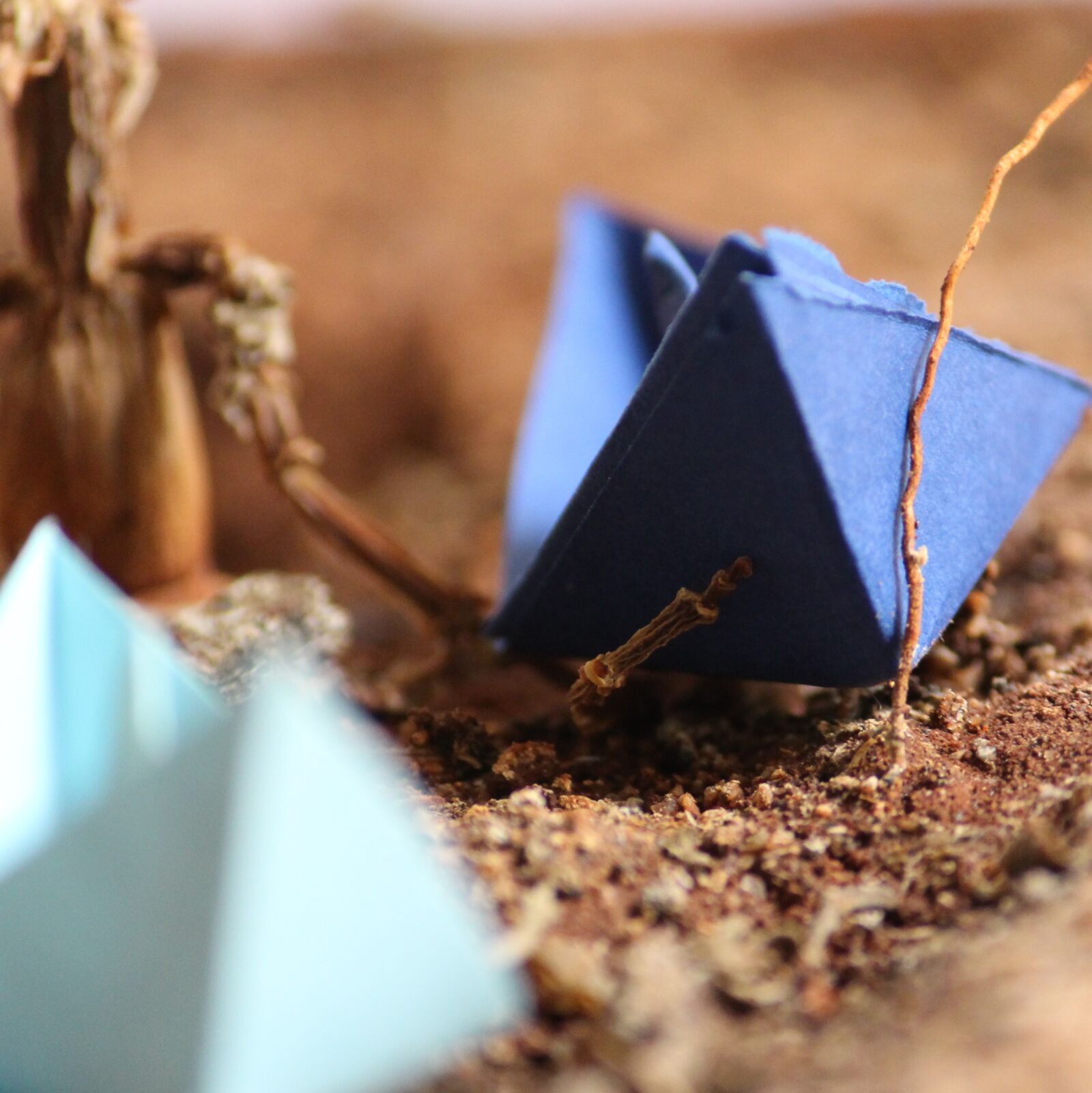 Canon EOS 700D (EOS Rebel T5i / EOS Kiss X7i) sample photo. B4bharani, hope, origami, summer photography