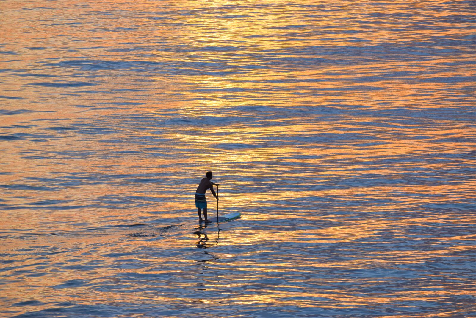 Nikon D3300 sample photo. Paddle boarder, ocean, sunset photography