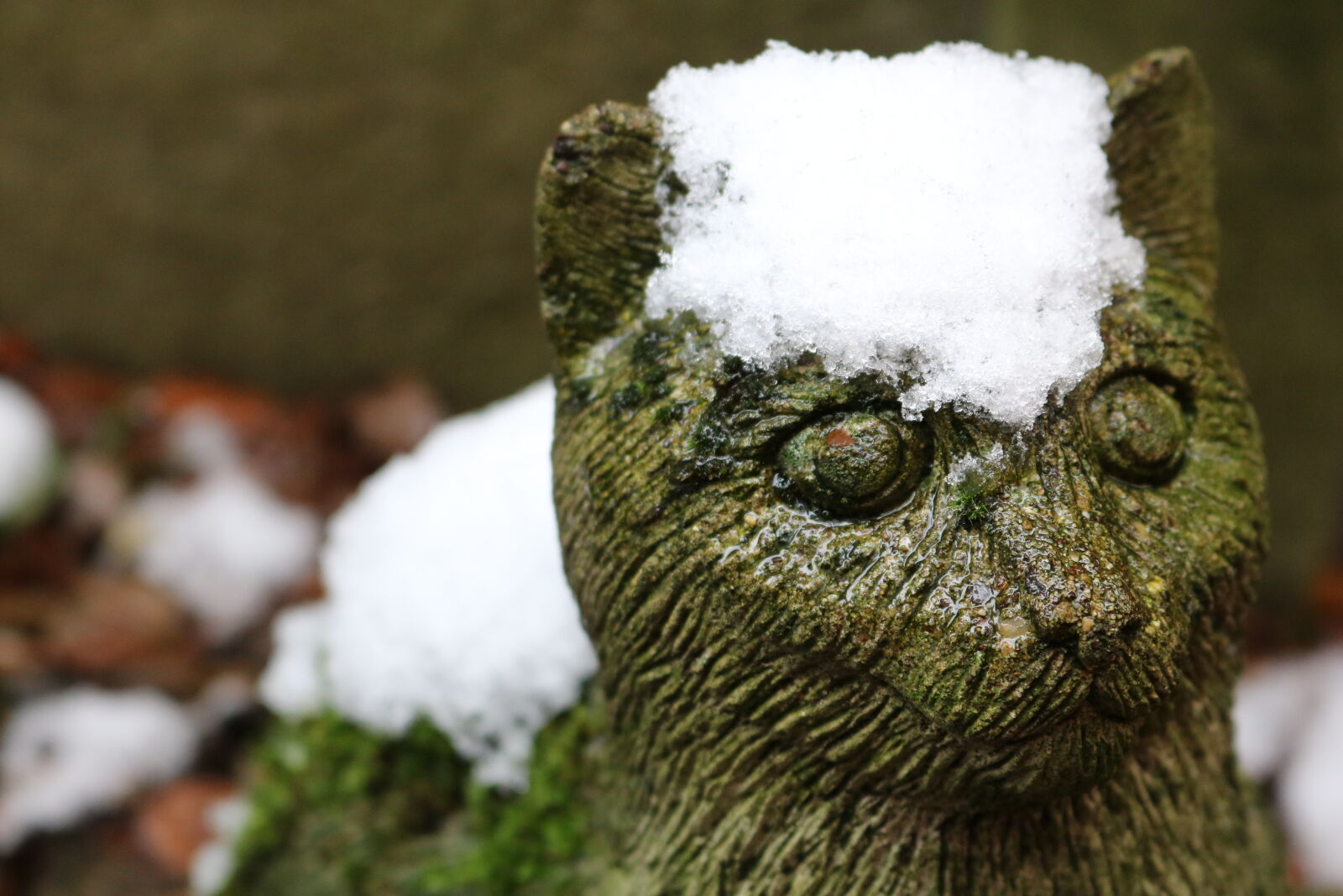 Canon EOS 750D (EOS Rebel T6i / EOS Kiss X8i) sample photo. Cat, sculpture, snow, stone photography