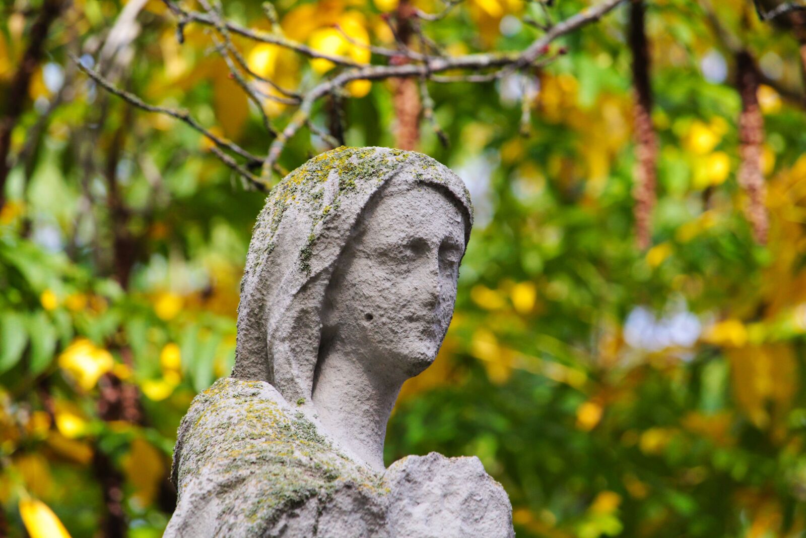 Canon EF-S 55-250mm F4-5.6 IS STM sample photo. Augsburg, courtyard garden, statue photography