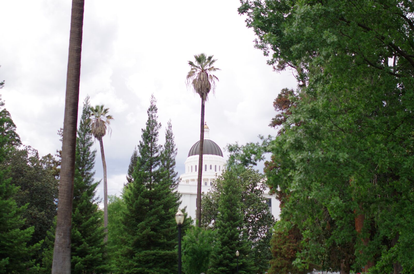 Pentax K-50 sample photo. Capitol, sacramento, california photography
