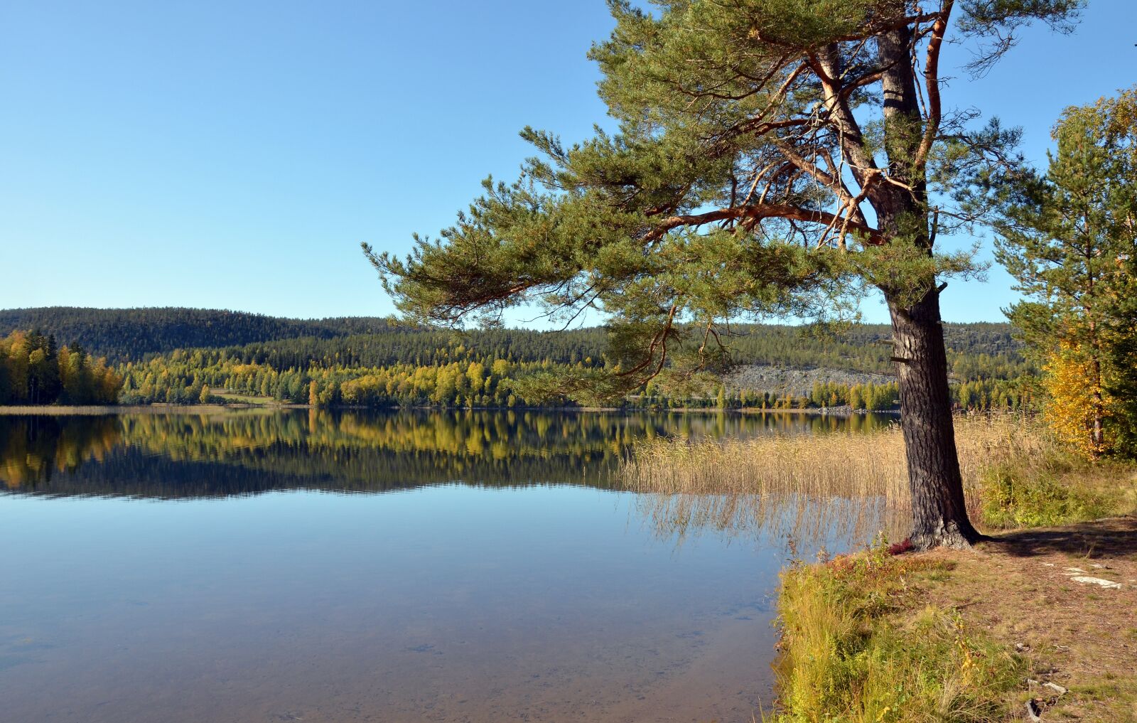 Nikon D5100 sample photo. Lake, water, nature photography