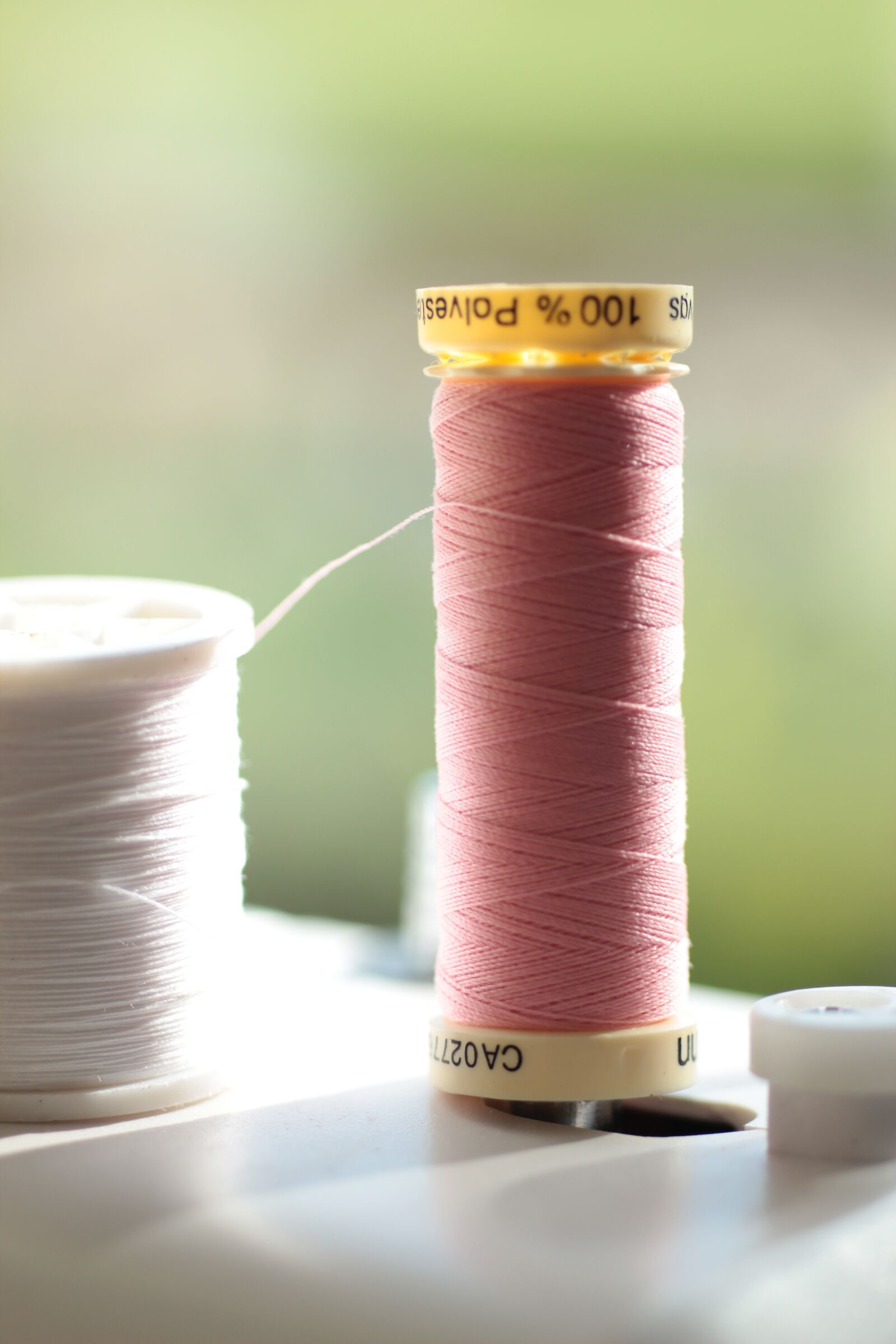 Canon EOS 600D (Rebel EOS T3i / EOS Kiss X5) sample photo. Yarn, crafting, sowing photography