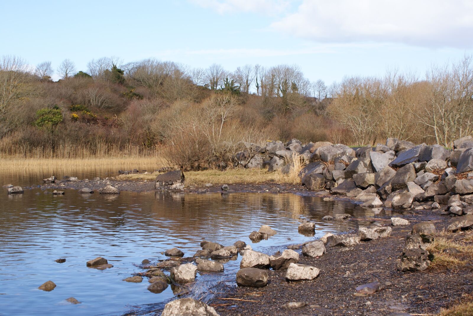 Sony Alpha DSLR-A200 sample photo. Lake, view, landscape photography