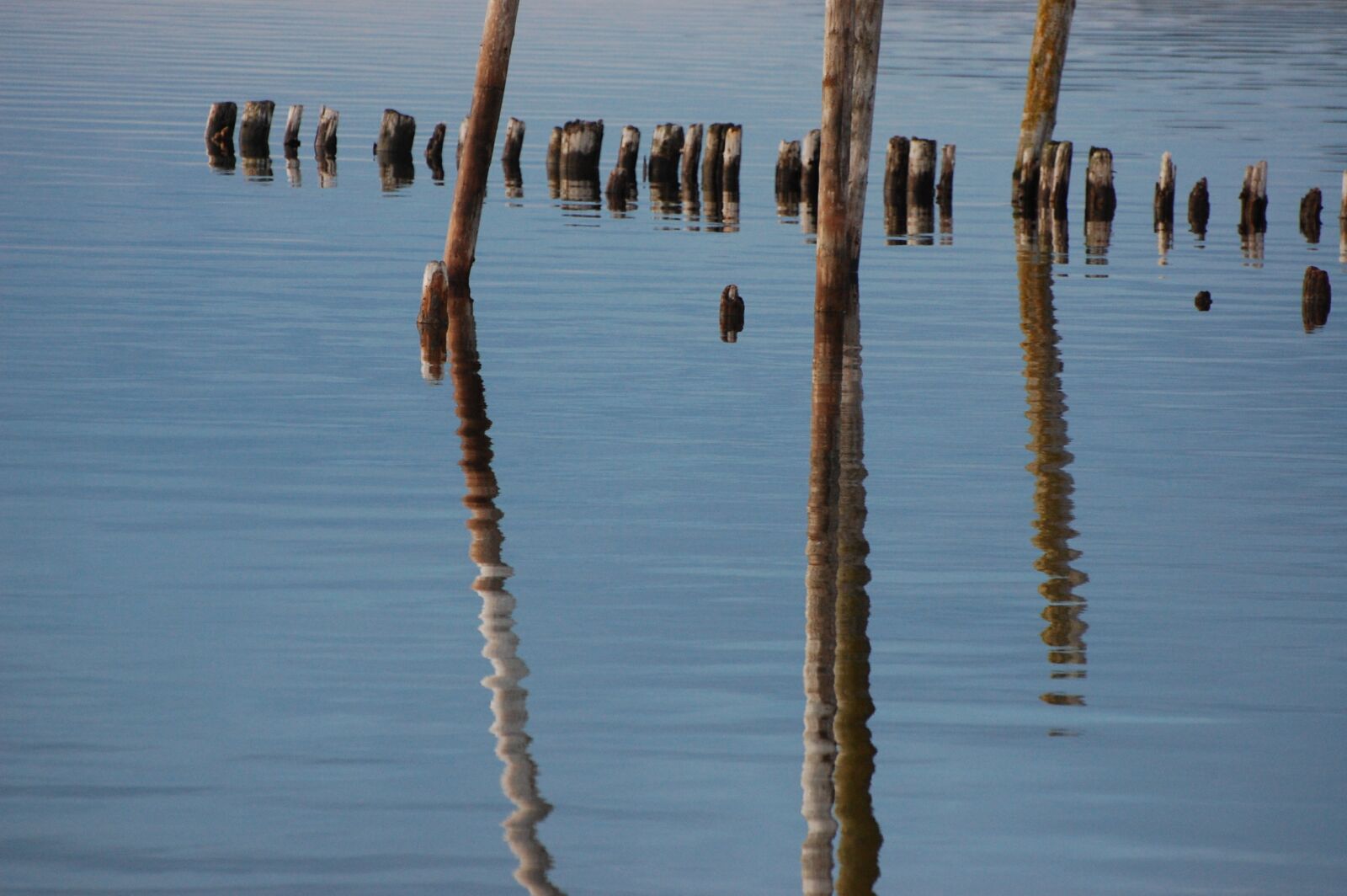 Nikon D40 sample photo. Pir, sunken, mirror image photography