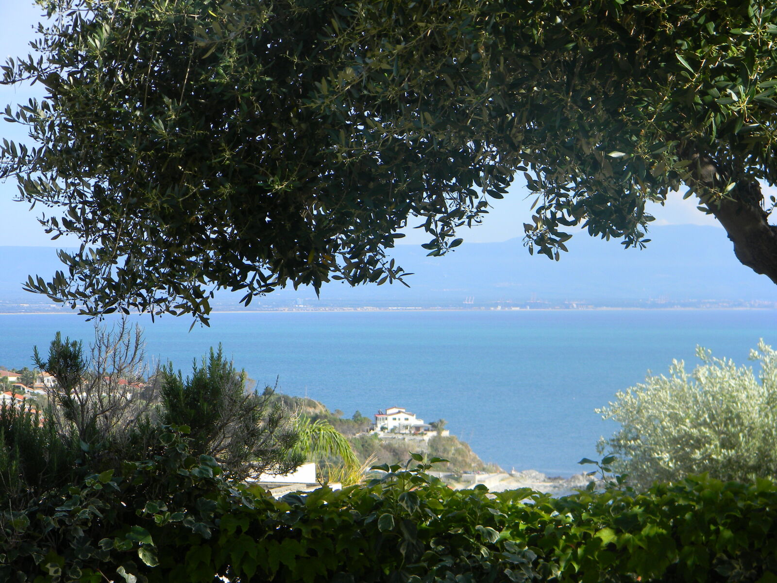 Nikon Coolpix L110 sample photo. Italy, landscape, olivetree photography
