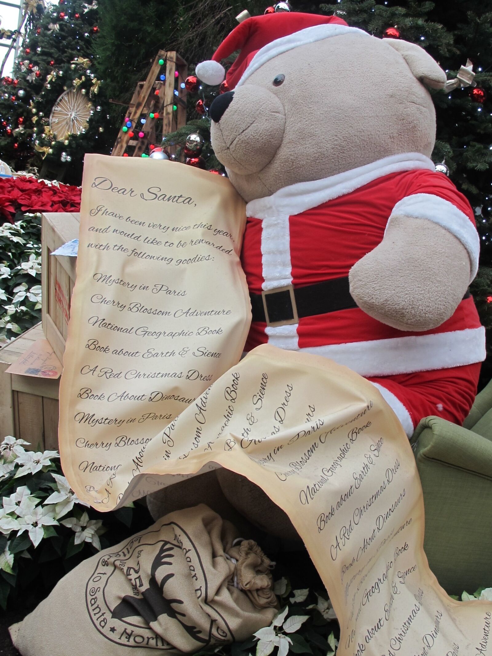 Canon PowerShot G12 sample photo. Christmas, gardens by the photography
