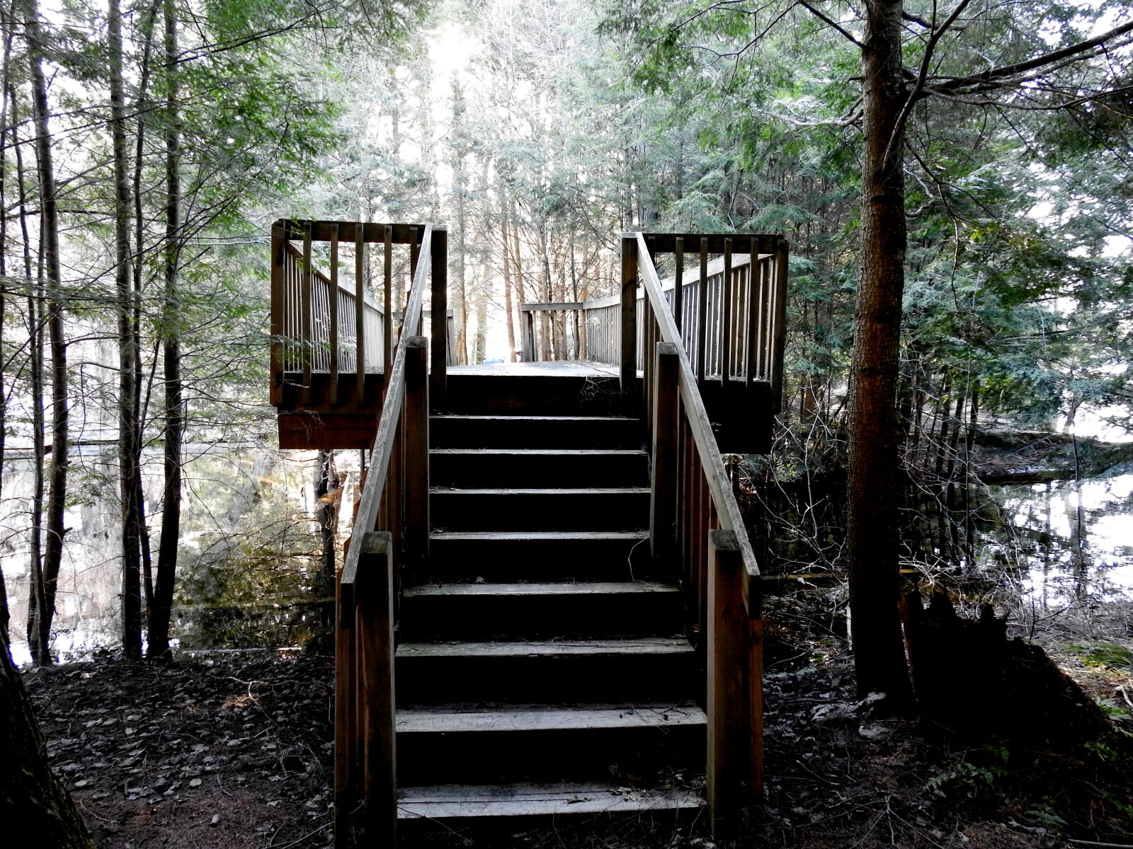 Nikon Coolpix P900 sample photo. Misty, wooden, bridge, woods photography