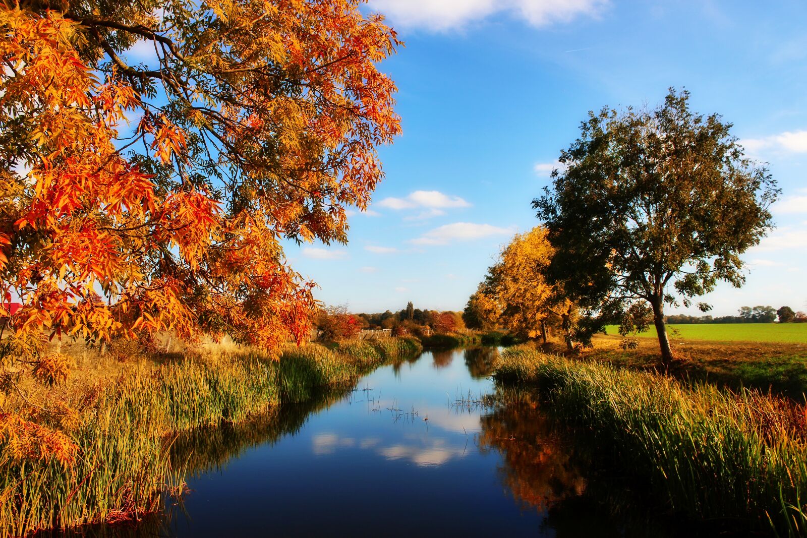 Canon EOS 1300D (EOS Rebel T6 / EOS Kiss X80) sample photo. Autumn, river, bank photography