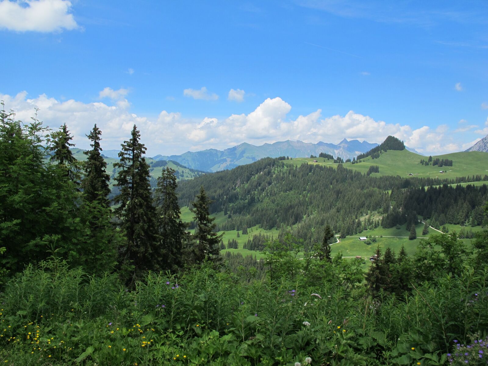 Canon PowerShot G12 sample photo. Nature, landscape, jura photography