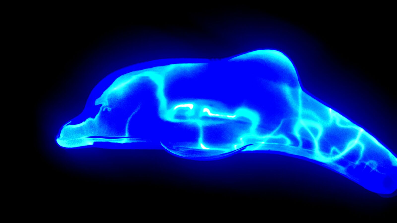 Motorola Moto X (1st Gen) sample photo. Dolphin, electricity, night photography