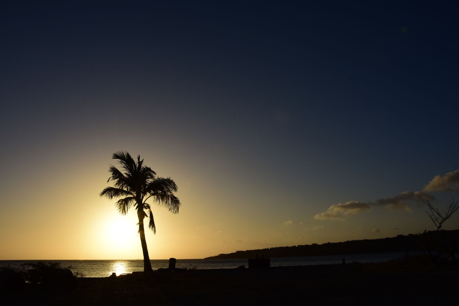 Nikon D7200 sample photo. Palm, sunset, sea photography