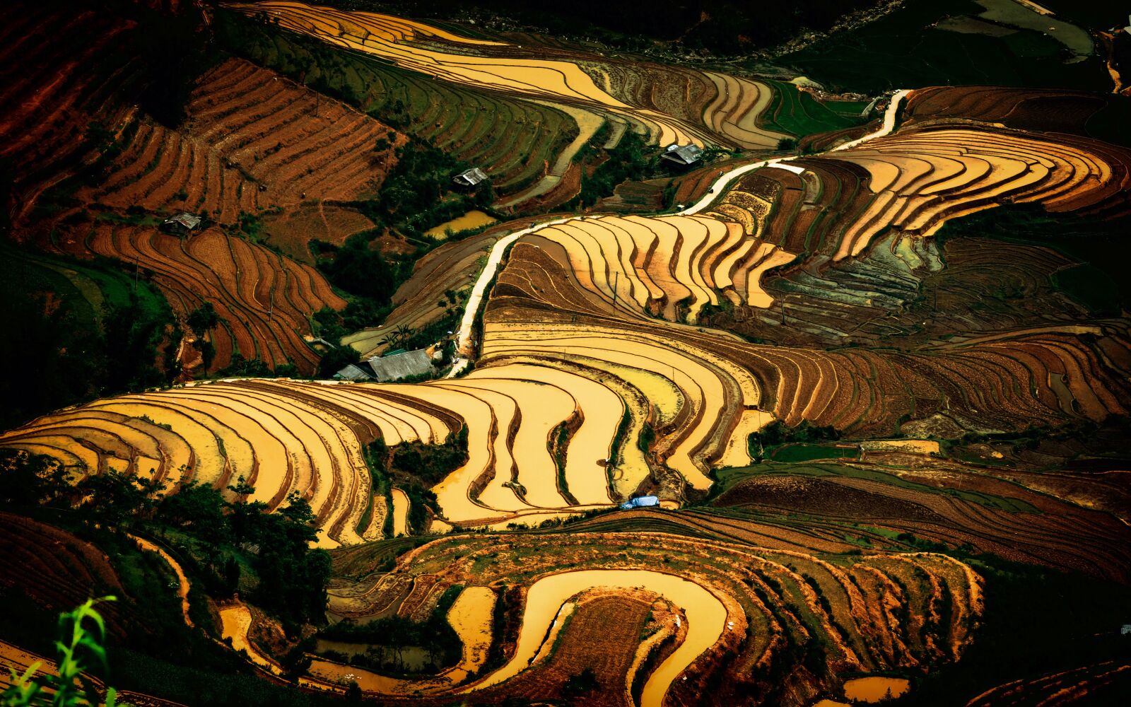 Olympus OM-D E-M1 Mark II + Olympus M.Zuiko Digital ED 40-150mm F2.8 Pro sample photo. Mucangchai, vietnam, mountain photography