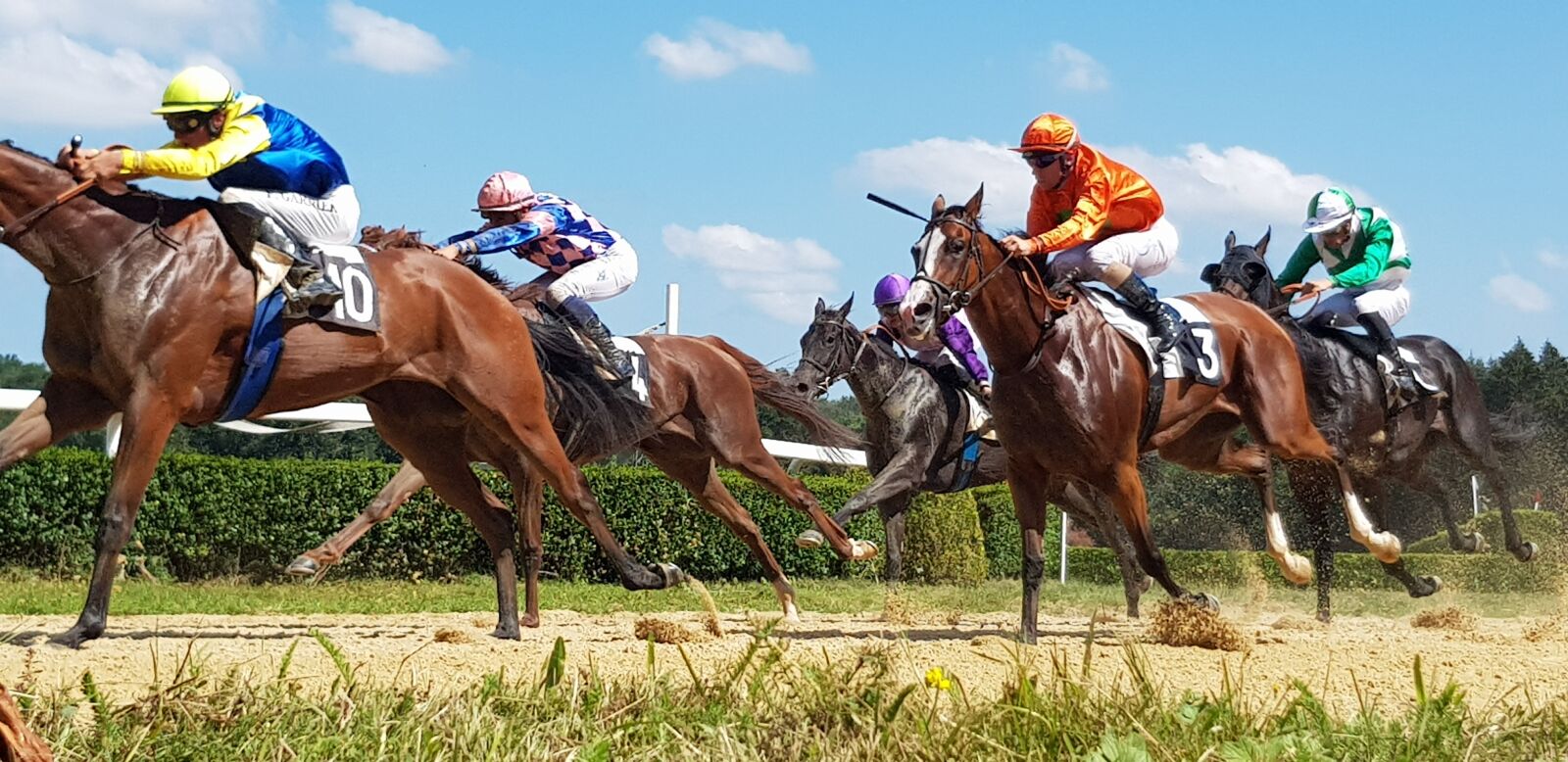 Samsung Galaxy S8 sample photo. Horse racing, race horses photography