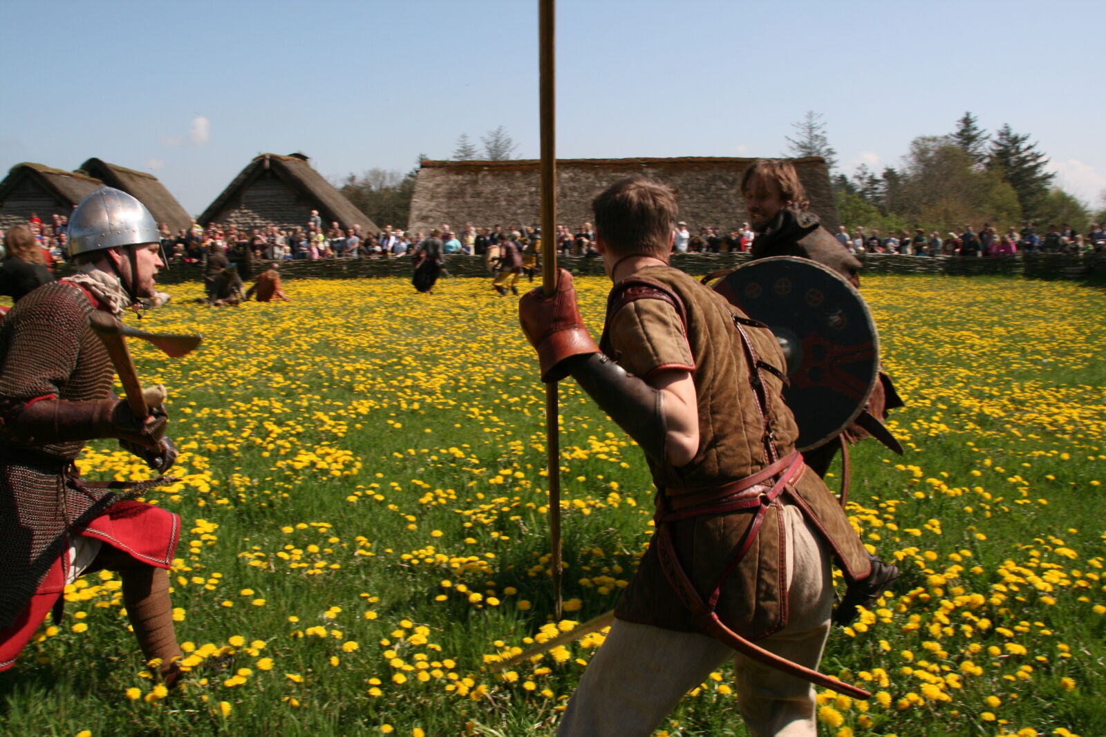 Sigma 18-200mm f/3.5-6.3 DC OS sample photo. Vikings photography