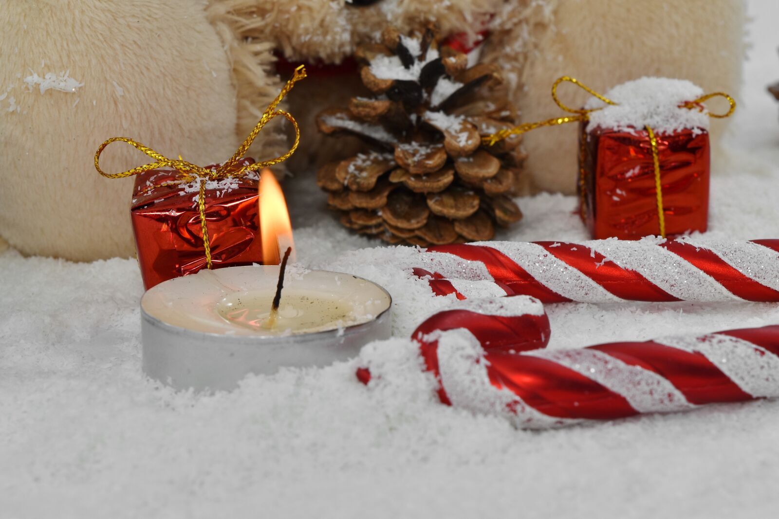 Nikon D5500 sample photo. Candle, candlelight, catholic, christmas photography
