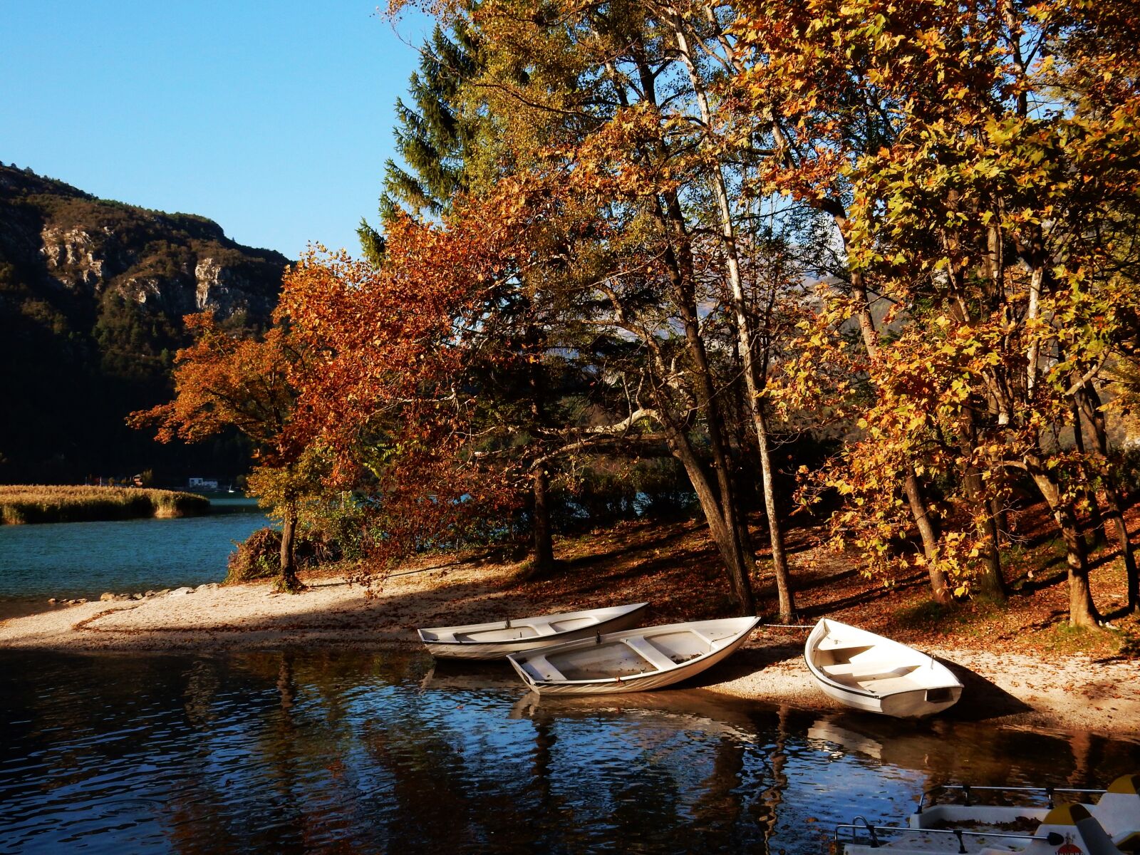 Nikon Coolpix S9700 sample photo. Lake, autumn, nature photography