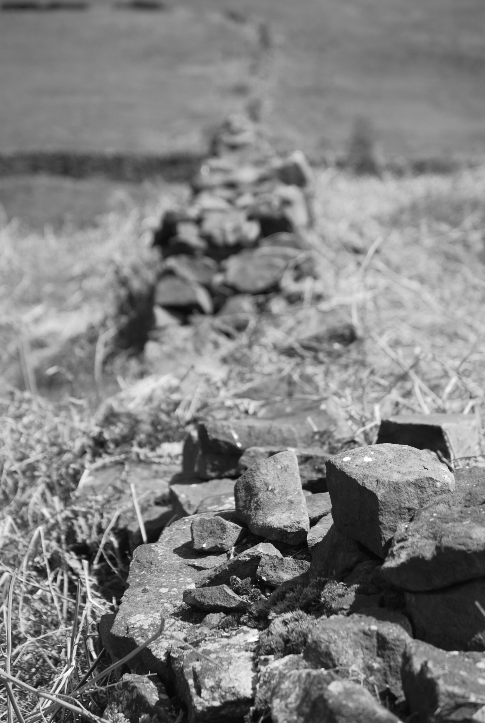 Nikon D60 sample photo. Wall, dry, stone photography