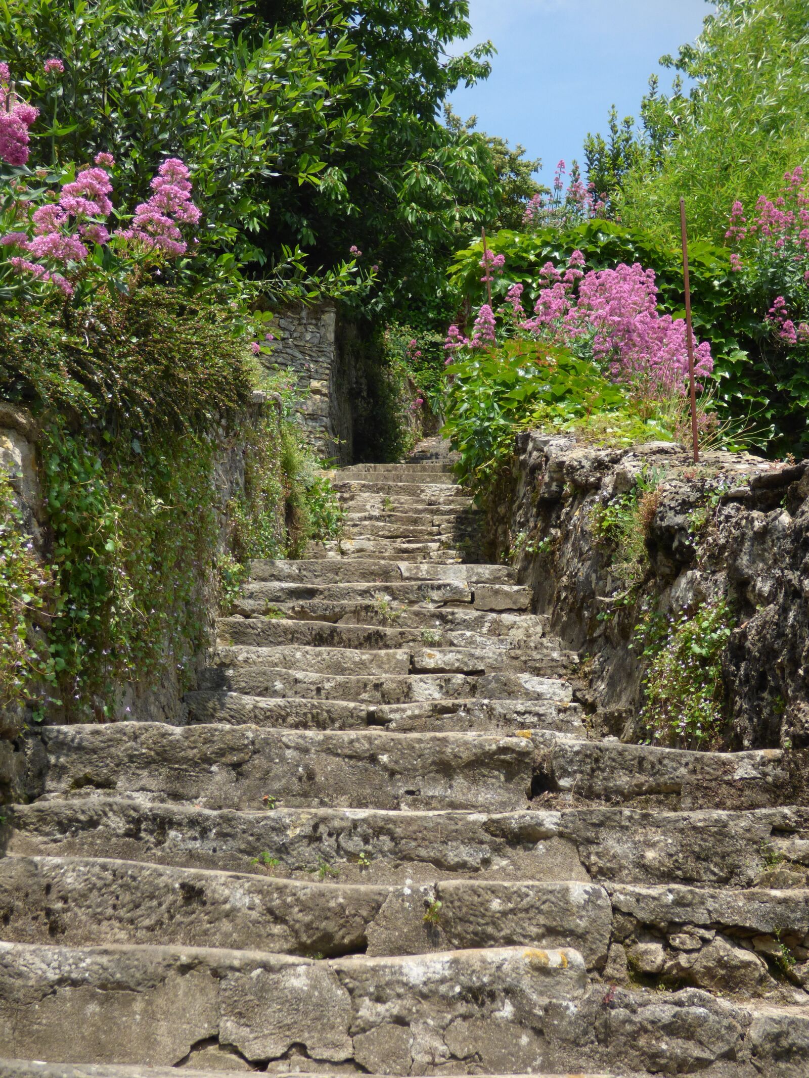 Panasonic DMC-FZ72 sample photo. Village, staircase, pierre photography