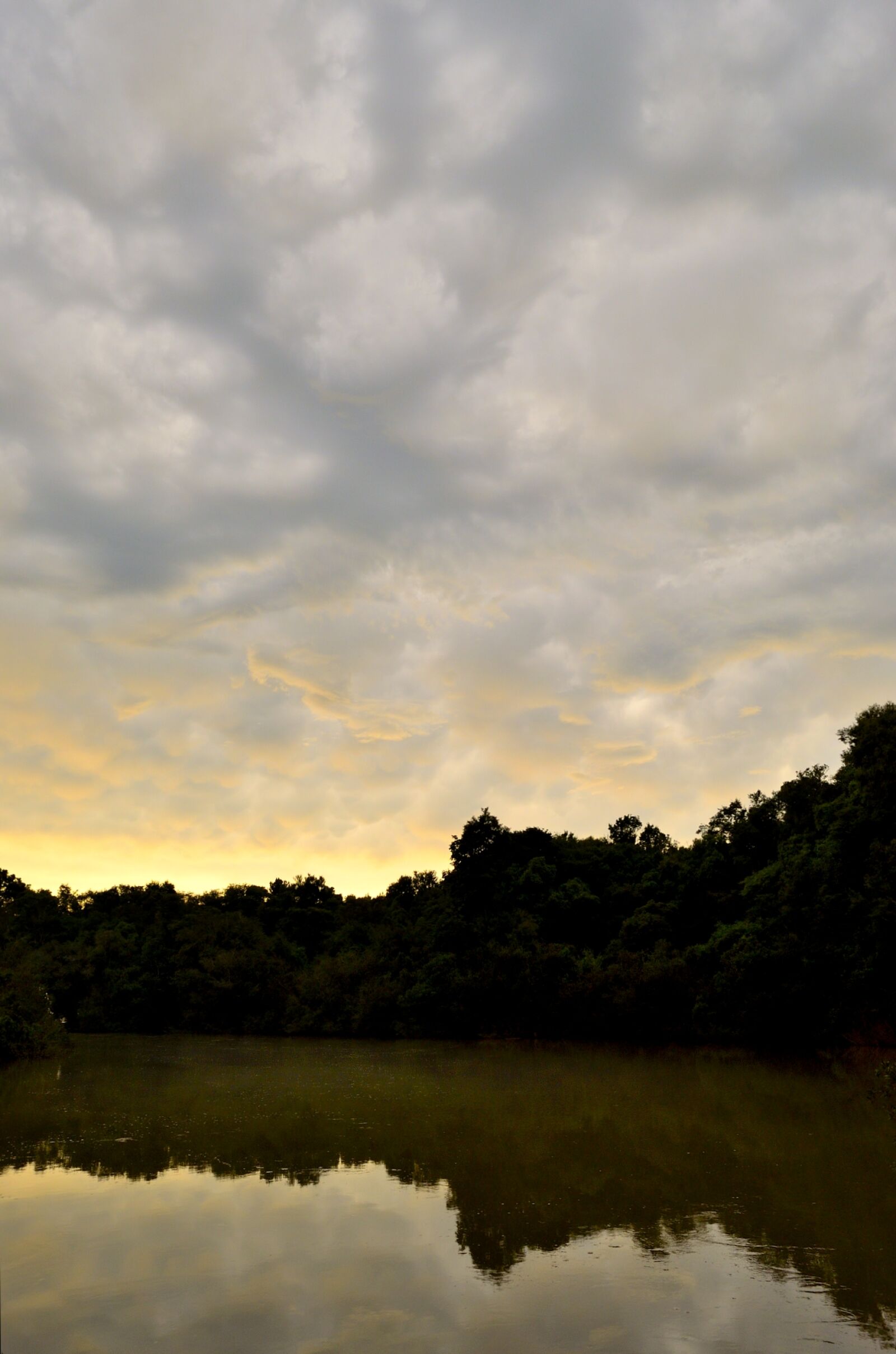 Nikon D5100 sample photo
