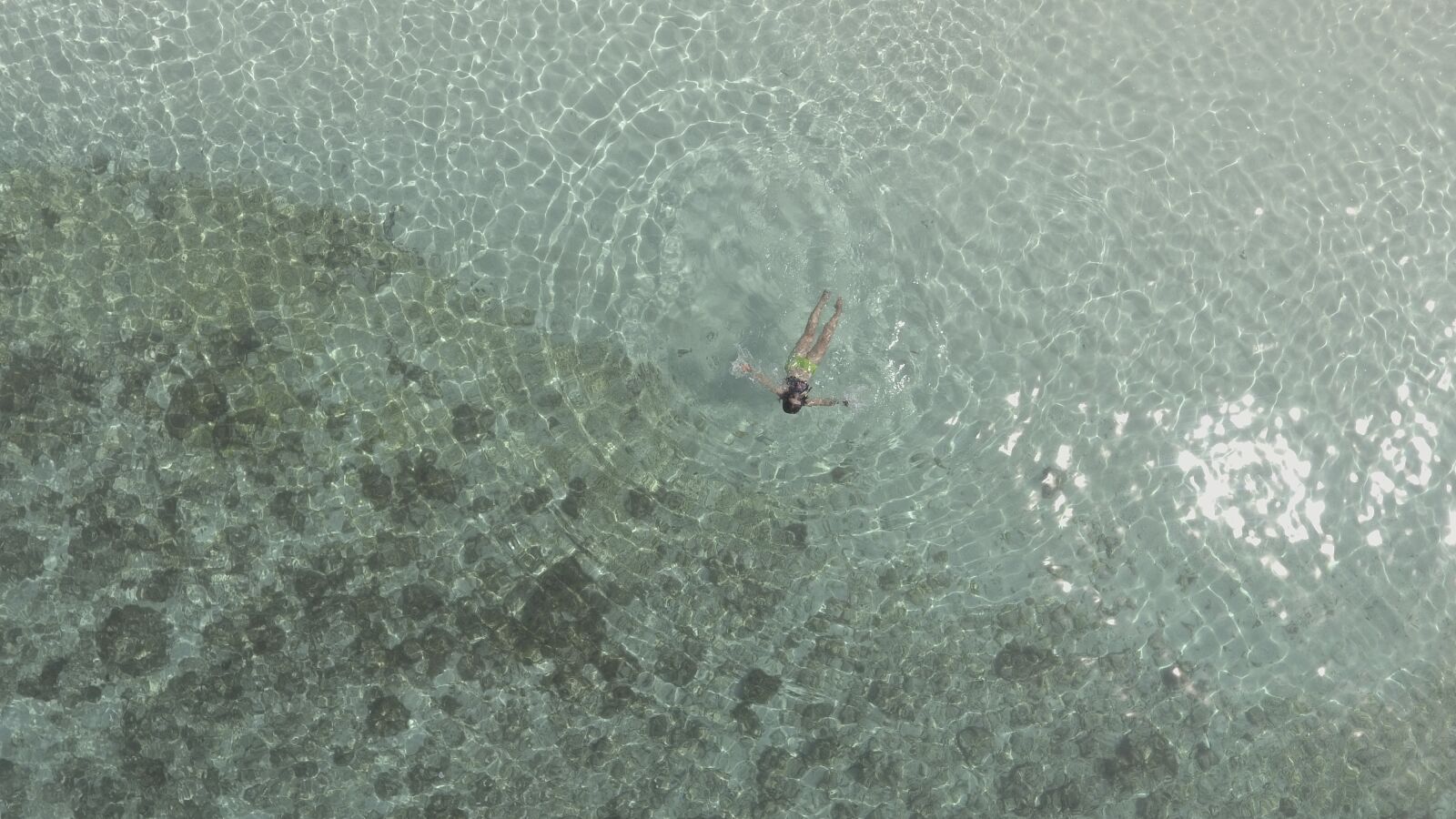 DJI FC330 sample photo. Philippines, swimming, coral photography