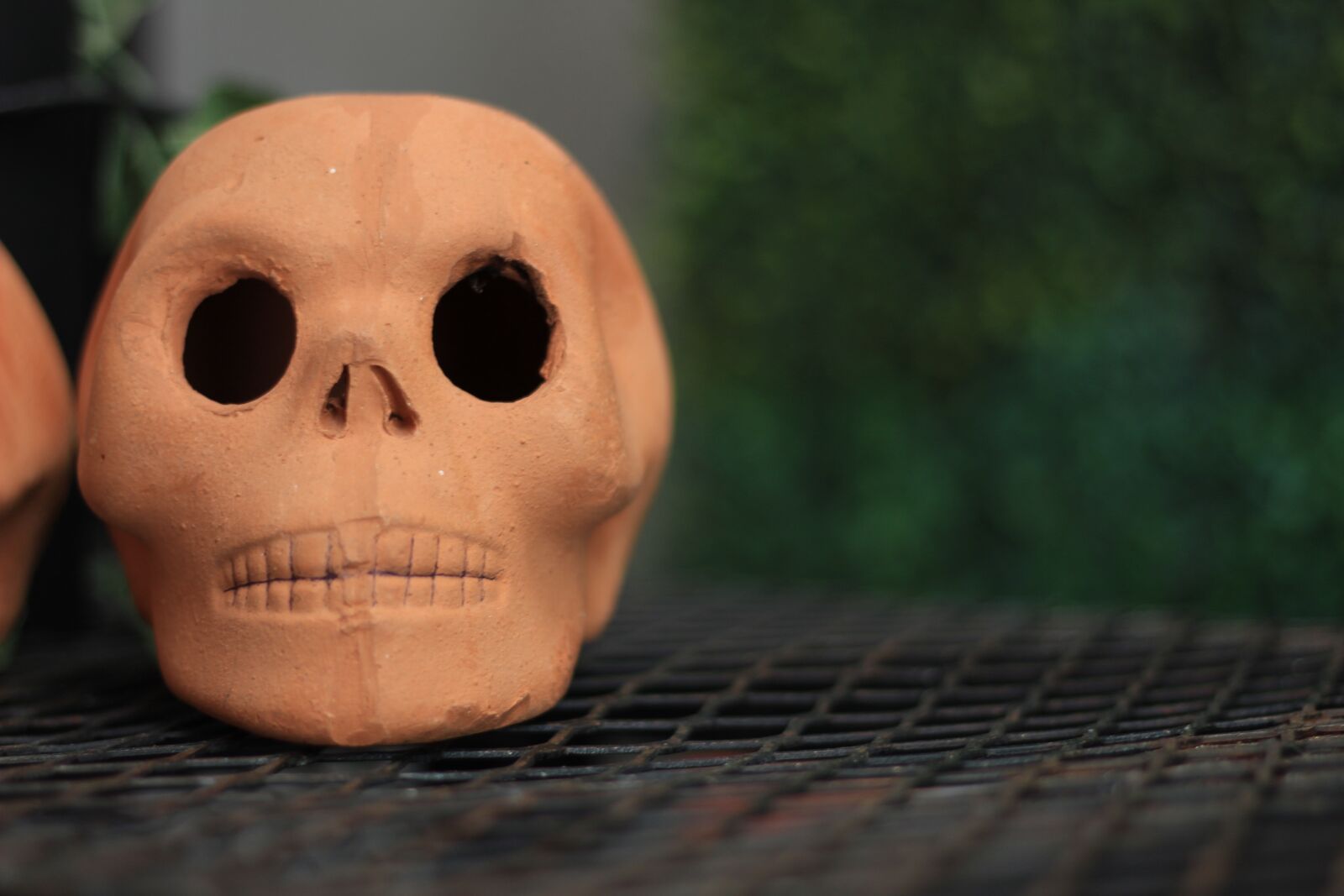 Canon EOS 1300D (EOS Rebel T6 / EOS Kiss X80) sample photo. Life, death, color photography
