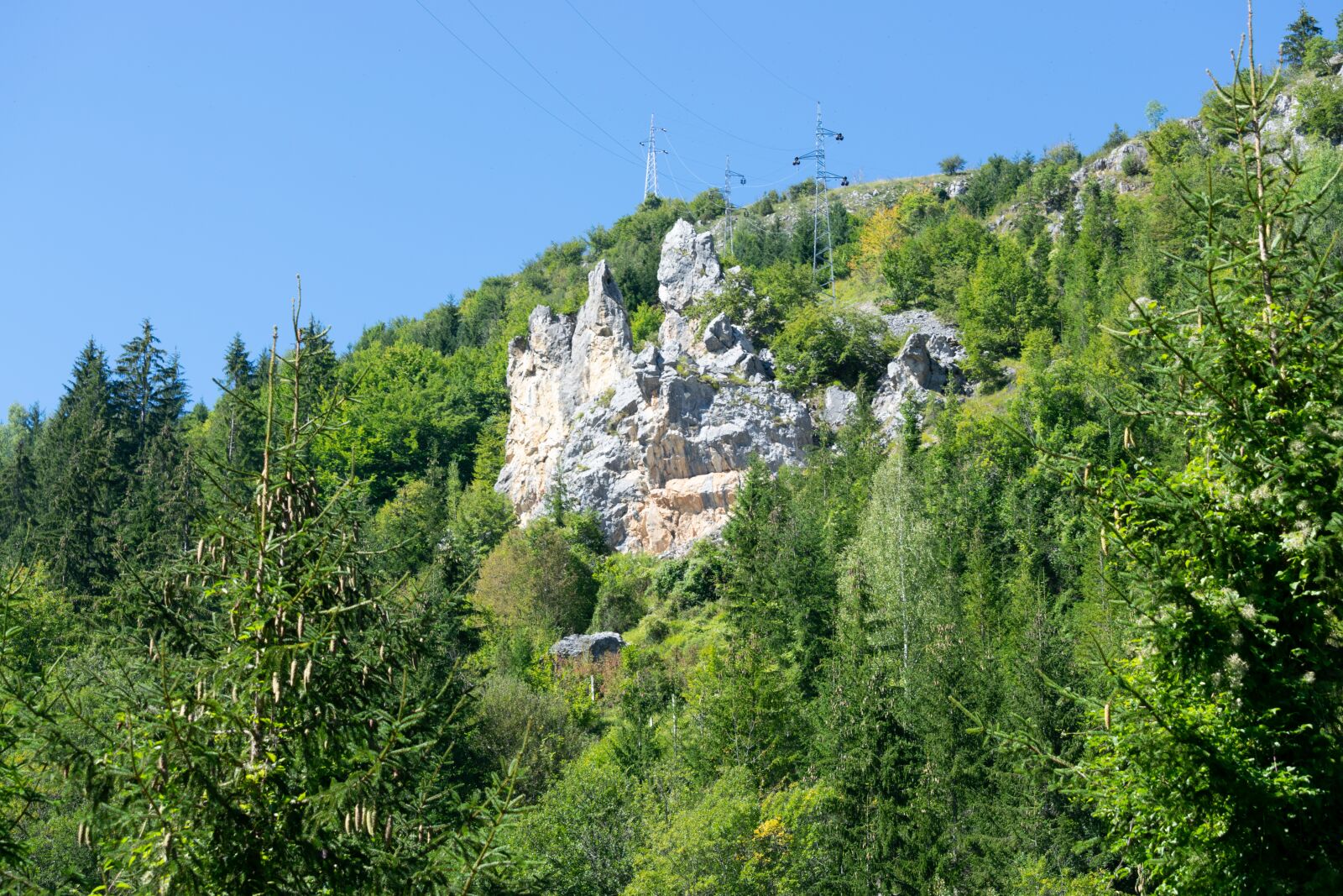 Nikon D3300 sample photo. Cliff, forest, nature photography