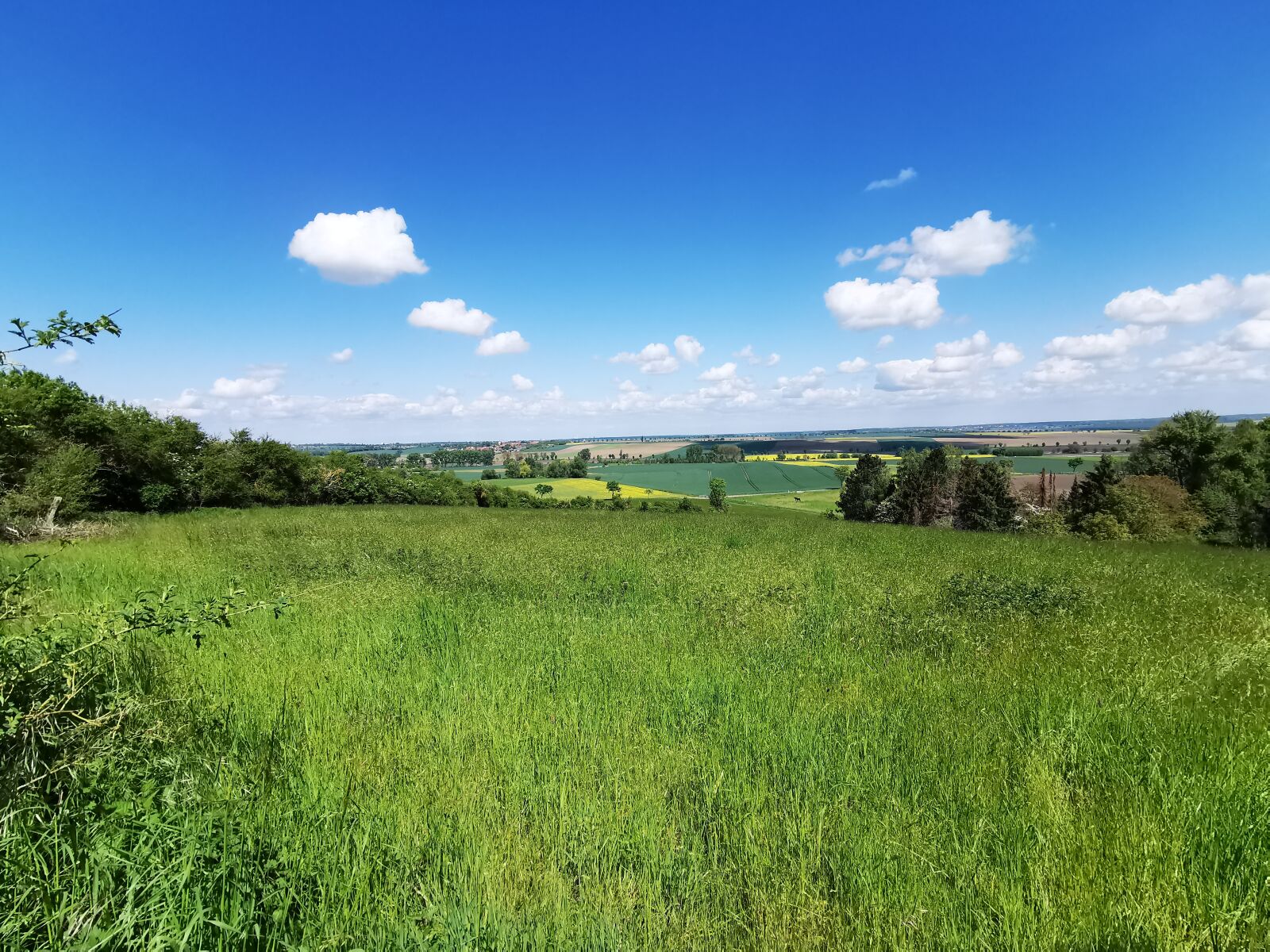 HUAWEI P30 Pro sample photo. Wolfenbüttel, aces, landscape photography