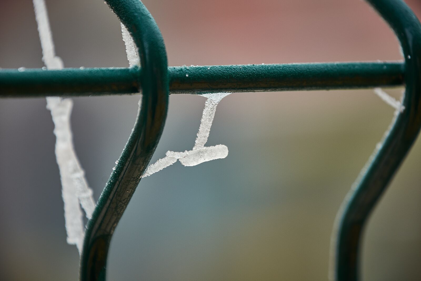 Nikon D7200 sample photo. Spider webs, frozen, frost photography