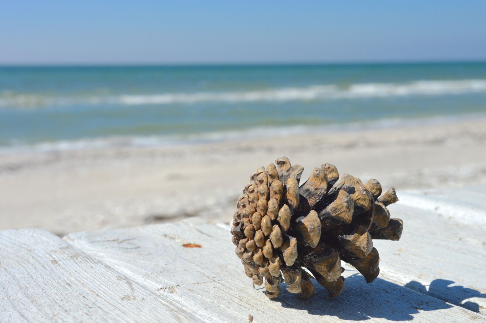 Nikon D3200 sample photo. Sand, beach, sea photography