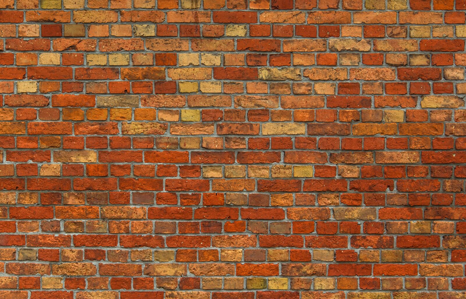 Canon EOS 550D (EOS Rebel T2i / EOS Kiss X4) sample photo. Brick, brick texture, brick photography