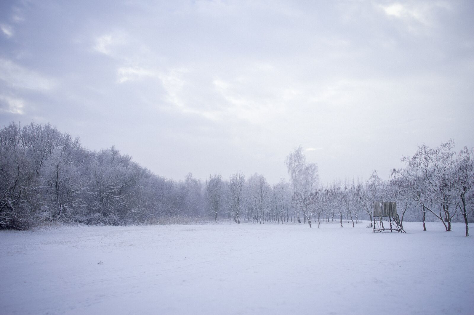 Nikon D3200 sample photo. Winter, blue, cold photography